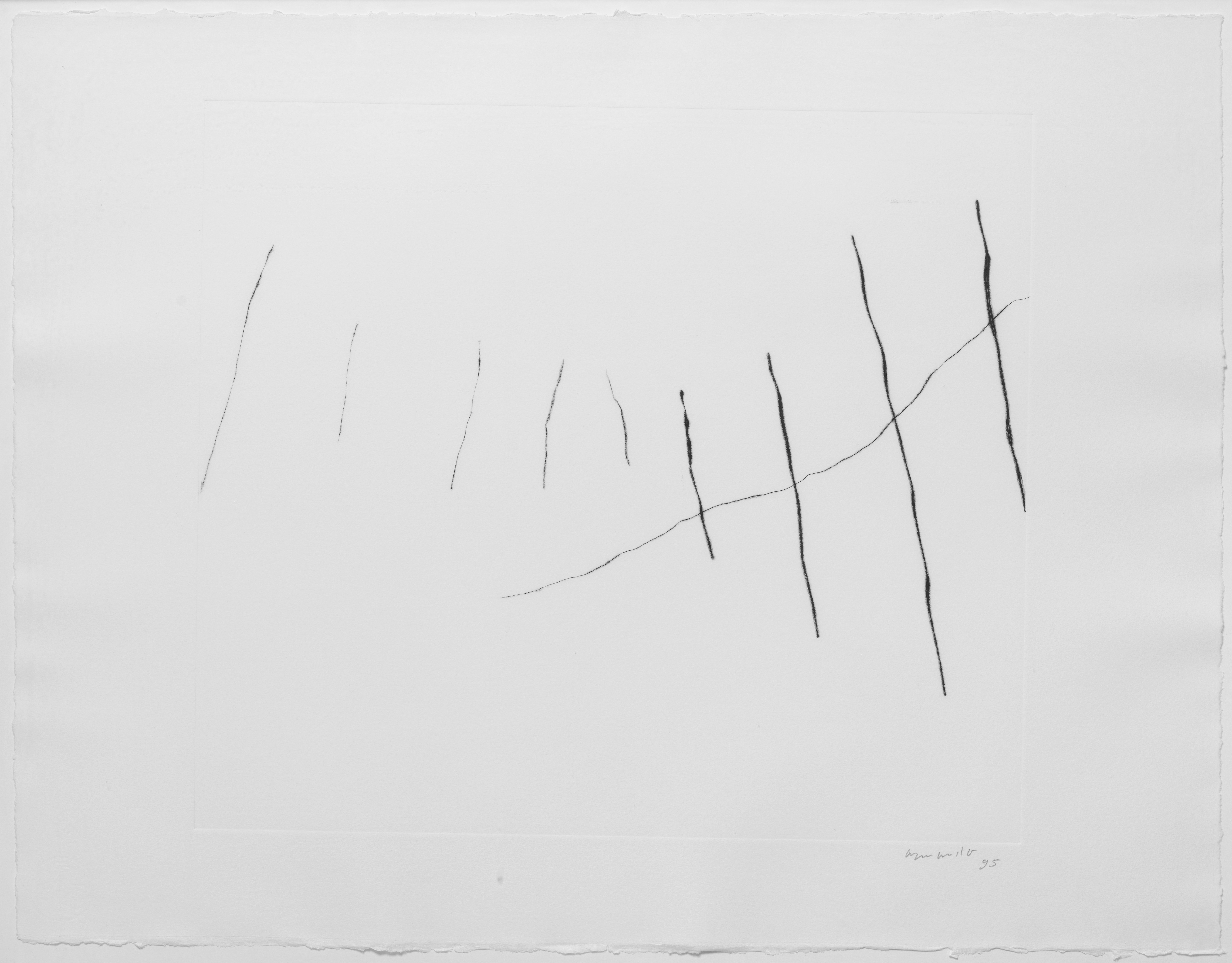 Der Zaun (1995) Der Zaun (1995)