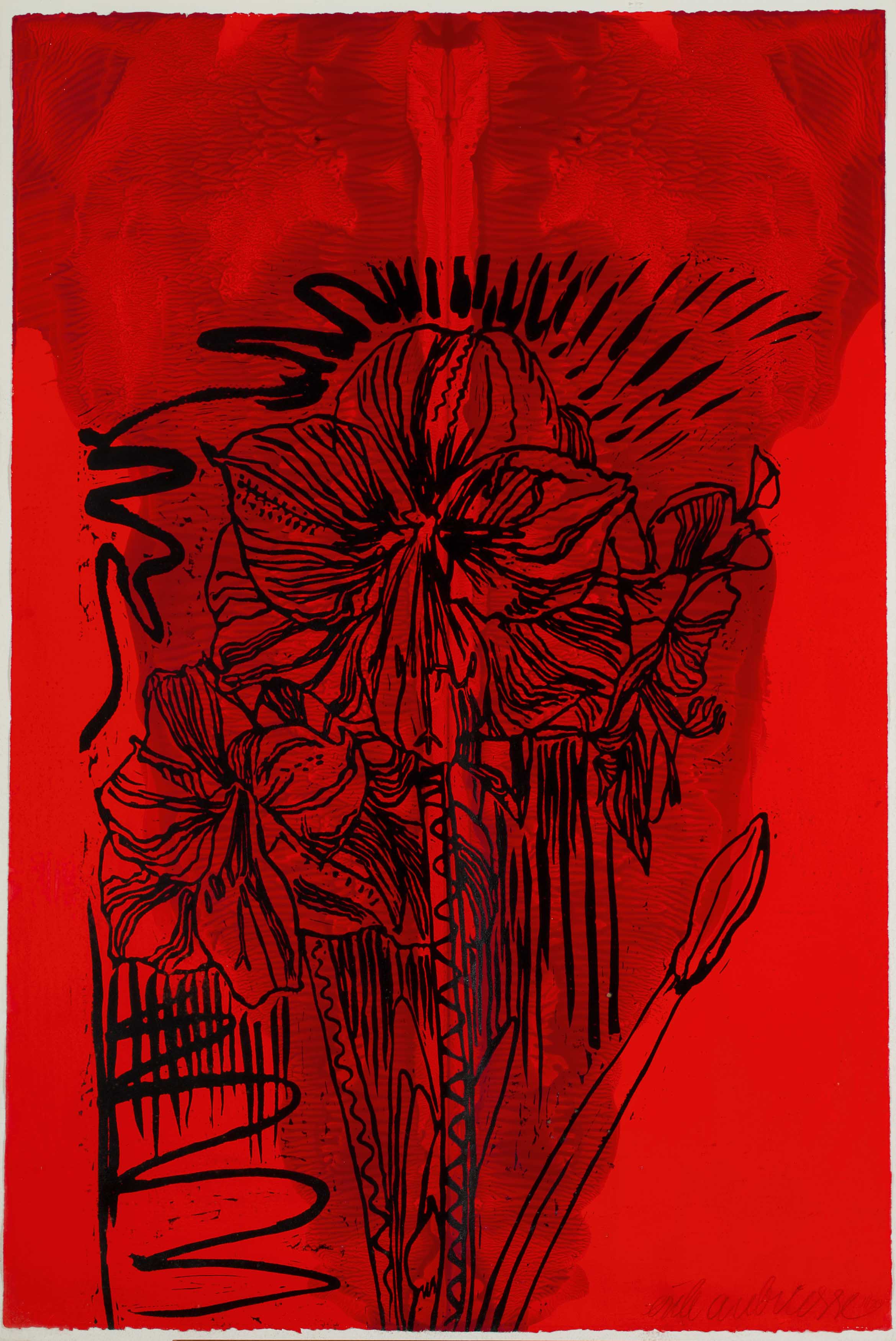 Amaryllis (1988)