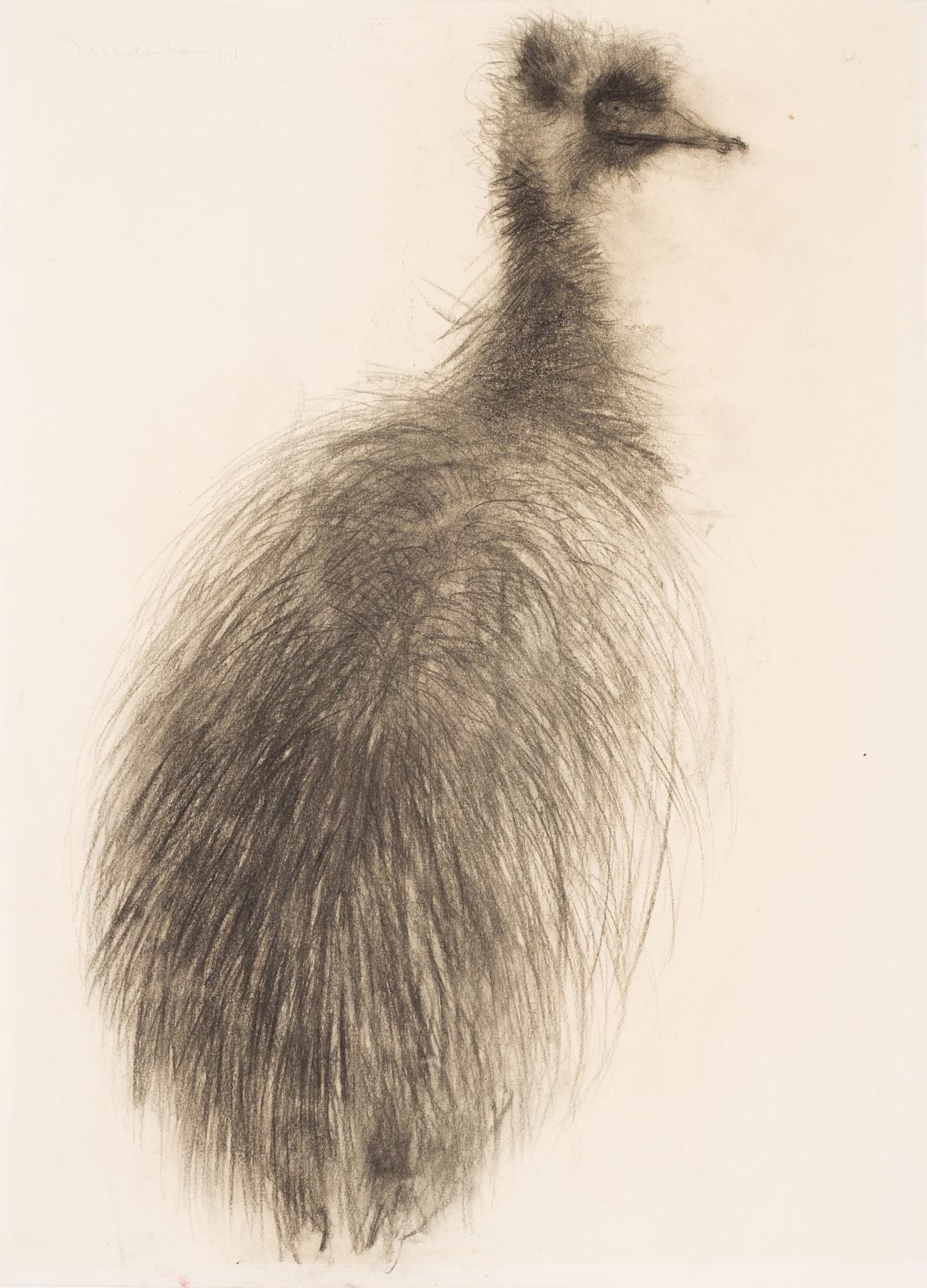 Vogel Vogel