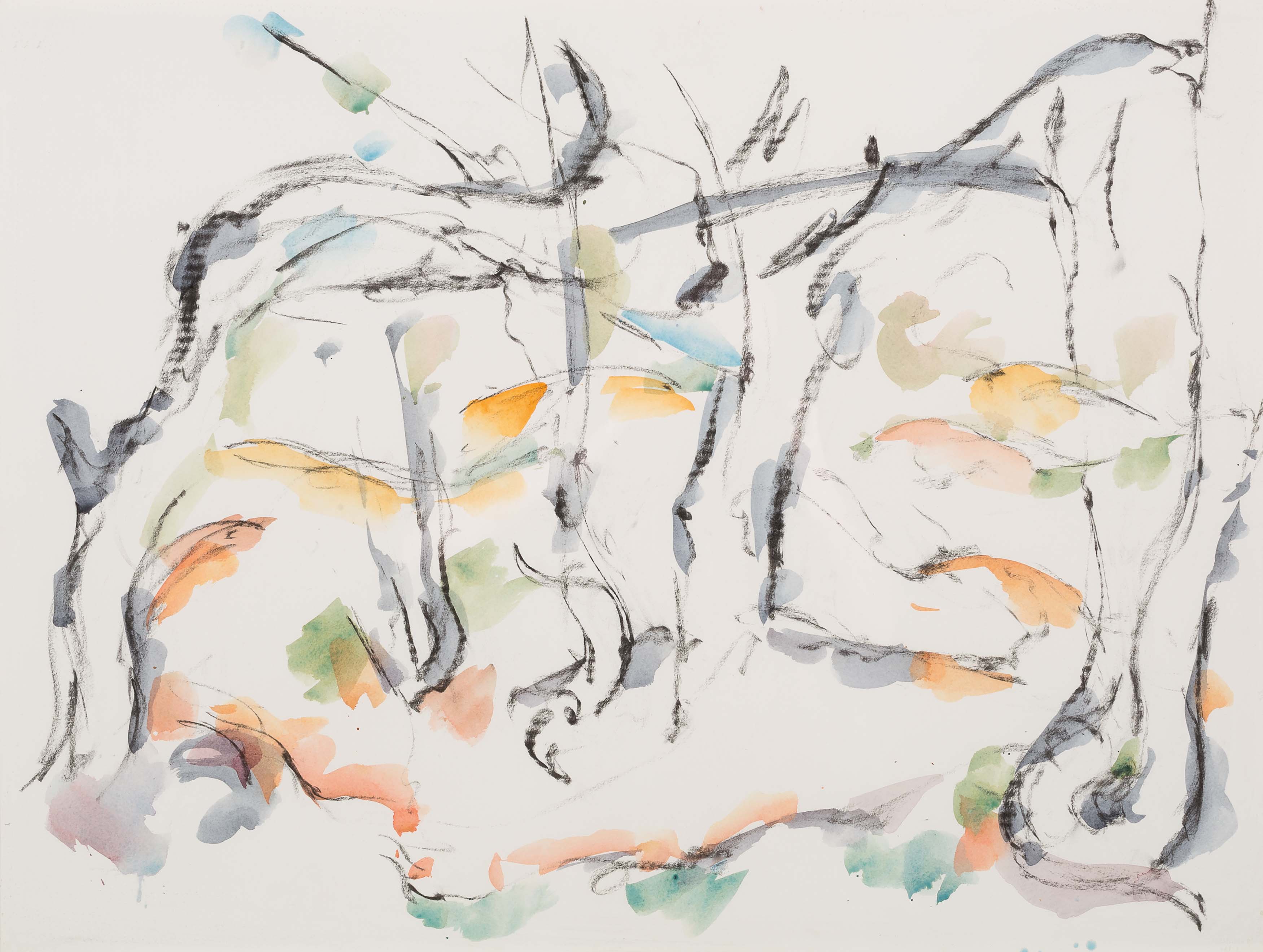 Bomen op zanderige grond