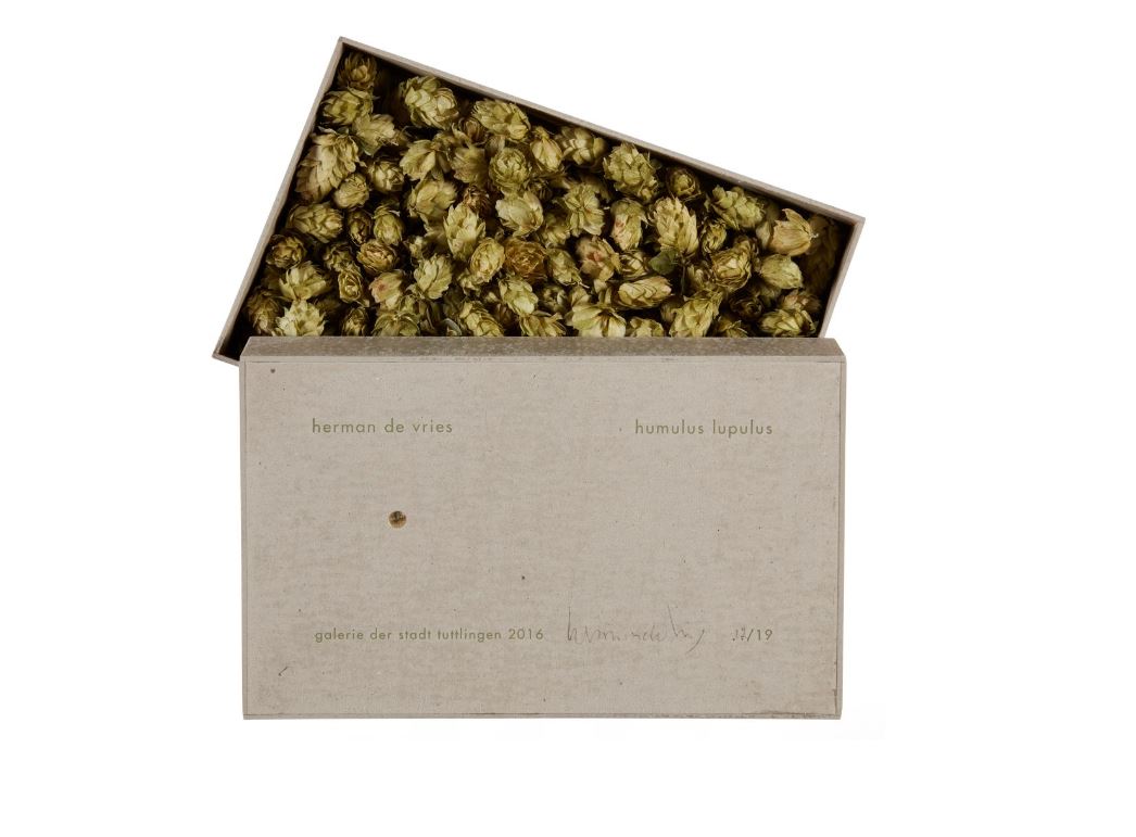 Humulus Lupulus, 2016. Humulus Lupulus, 2016.