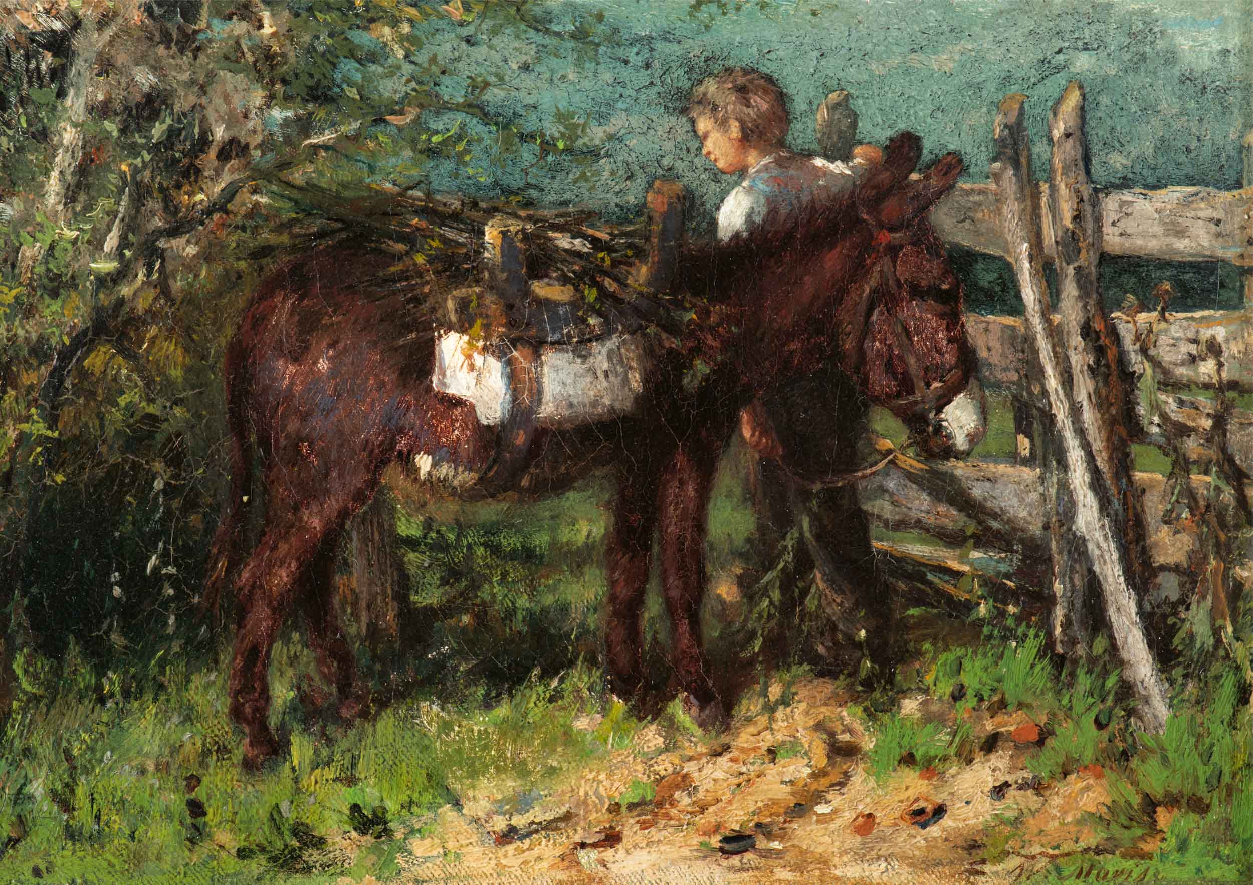 Boy gathering wood with his donkey