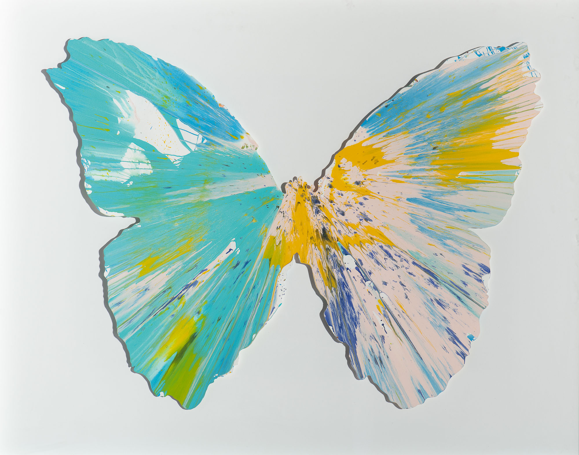 Butterfly spin painting (2009)