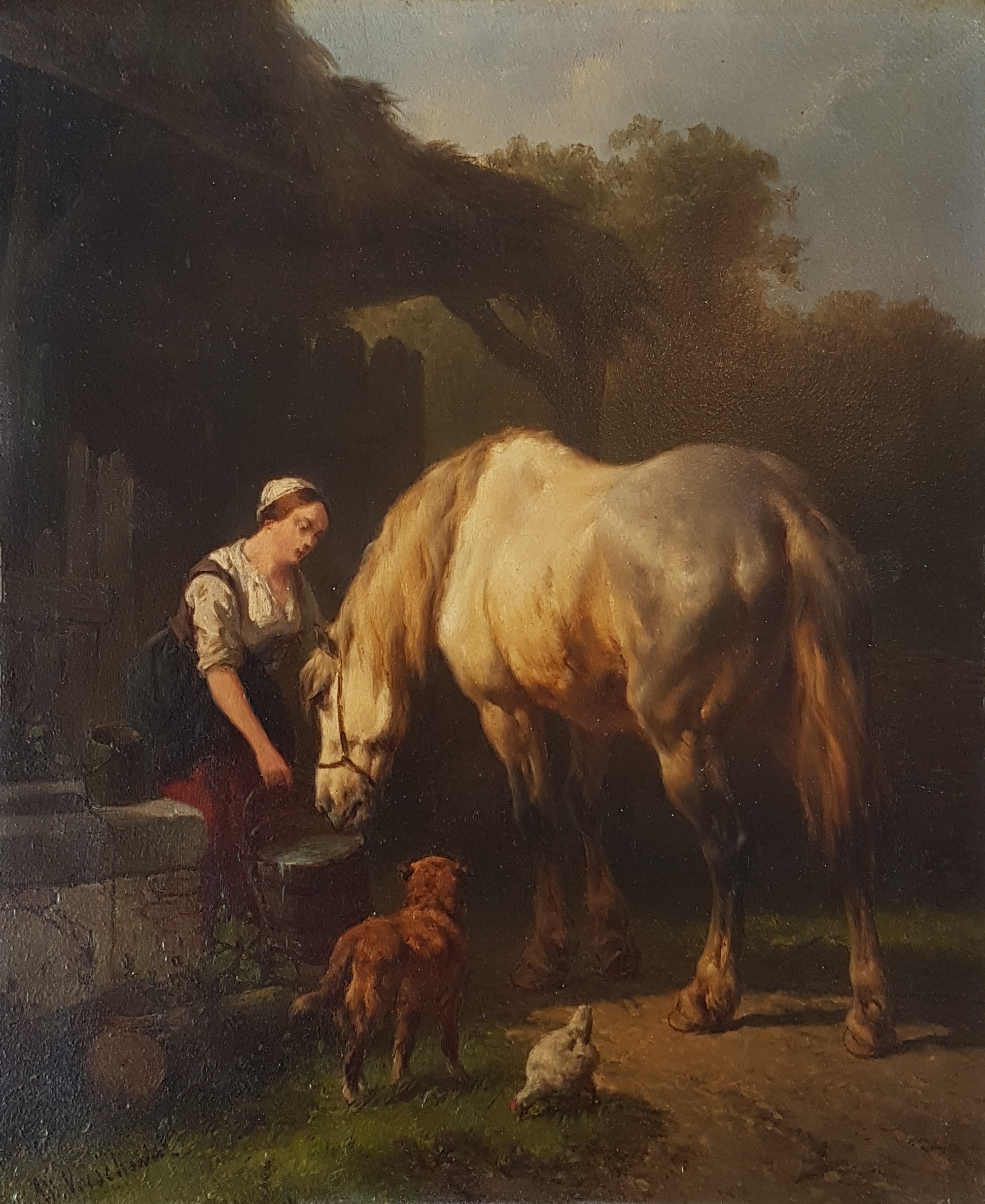 Vrouw laat paard drinken