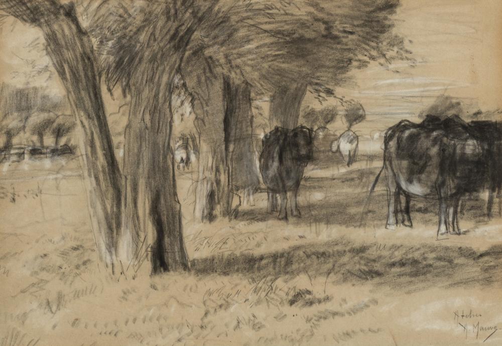 Cows in the meadow under the trees Cows in the meadow under the trees