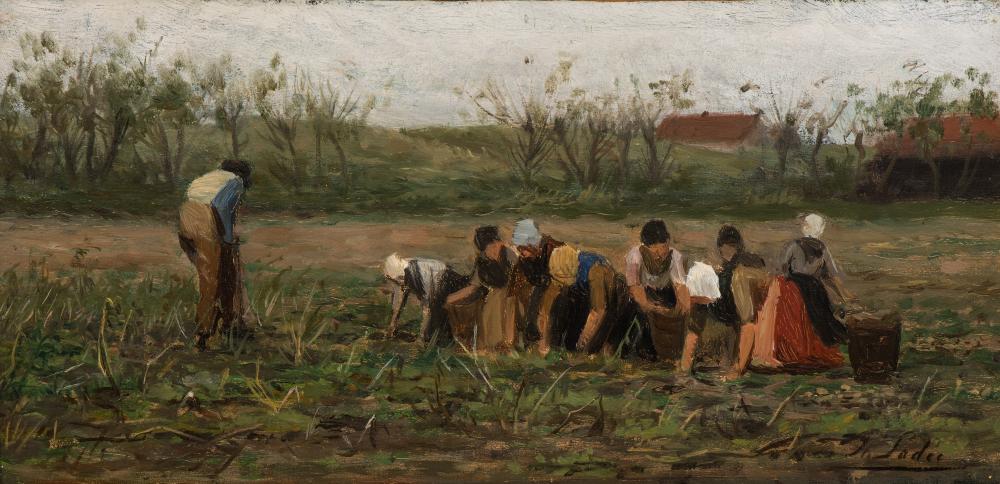 Aardappelrooiers / Potato harvesters Aardappelrooiers / Potato harvesters