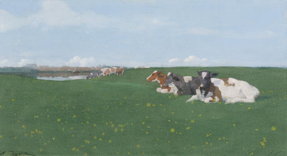 Landscape with cows near the IJssel