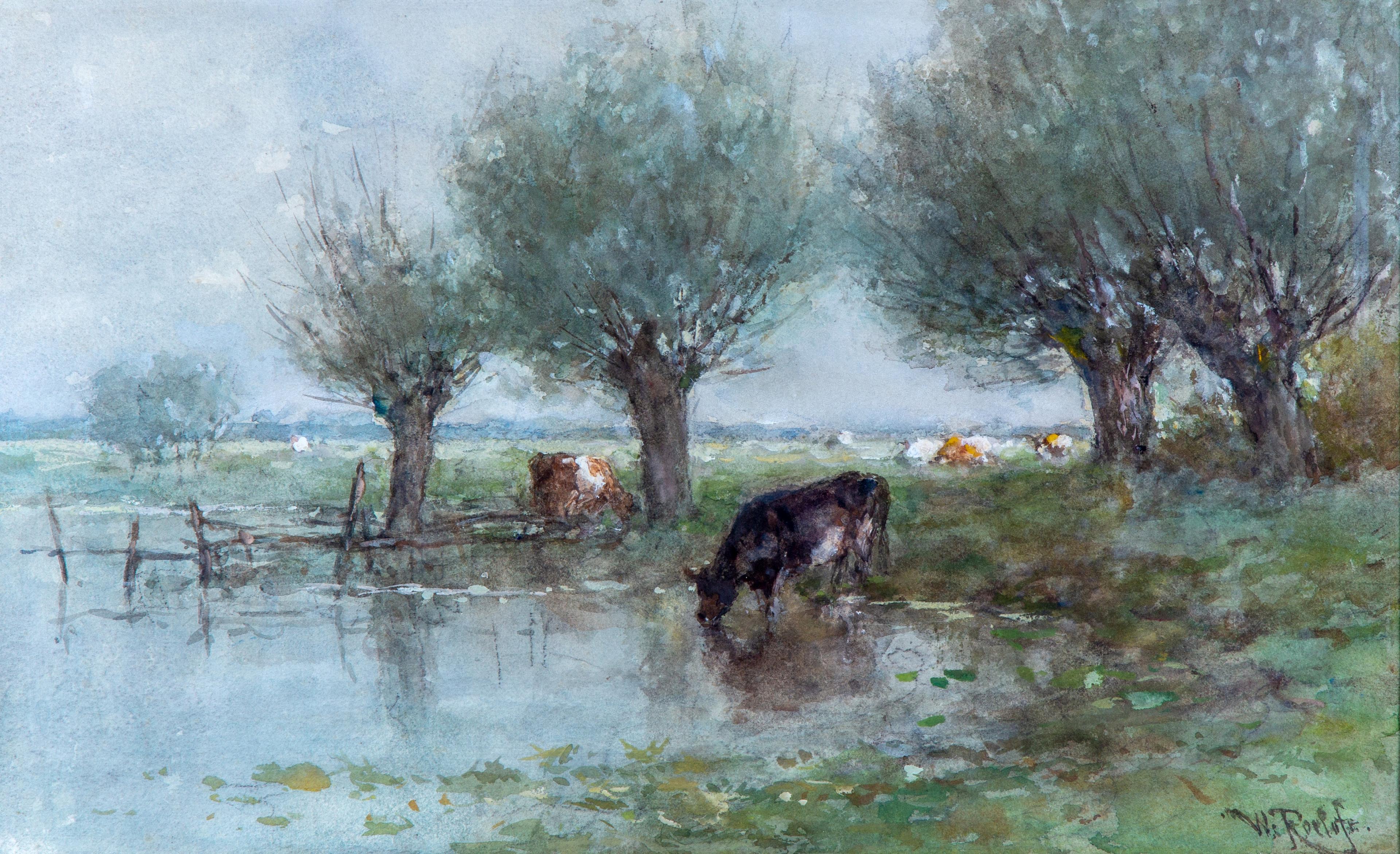 A drinking cow in a polder landscape