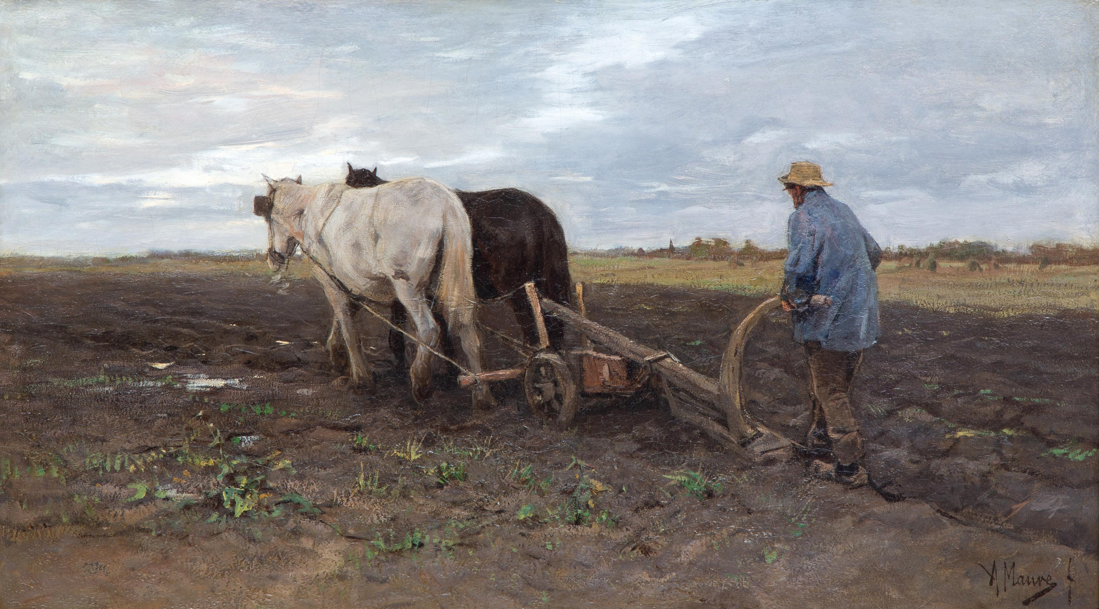 Ploughing horses on the field Ploughing horses on the field