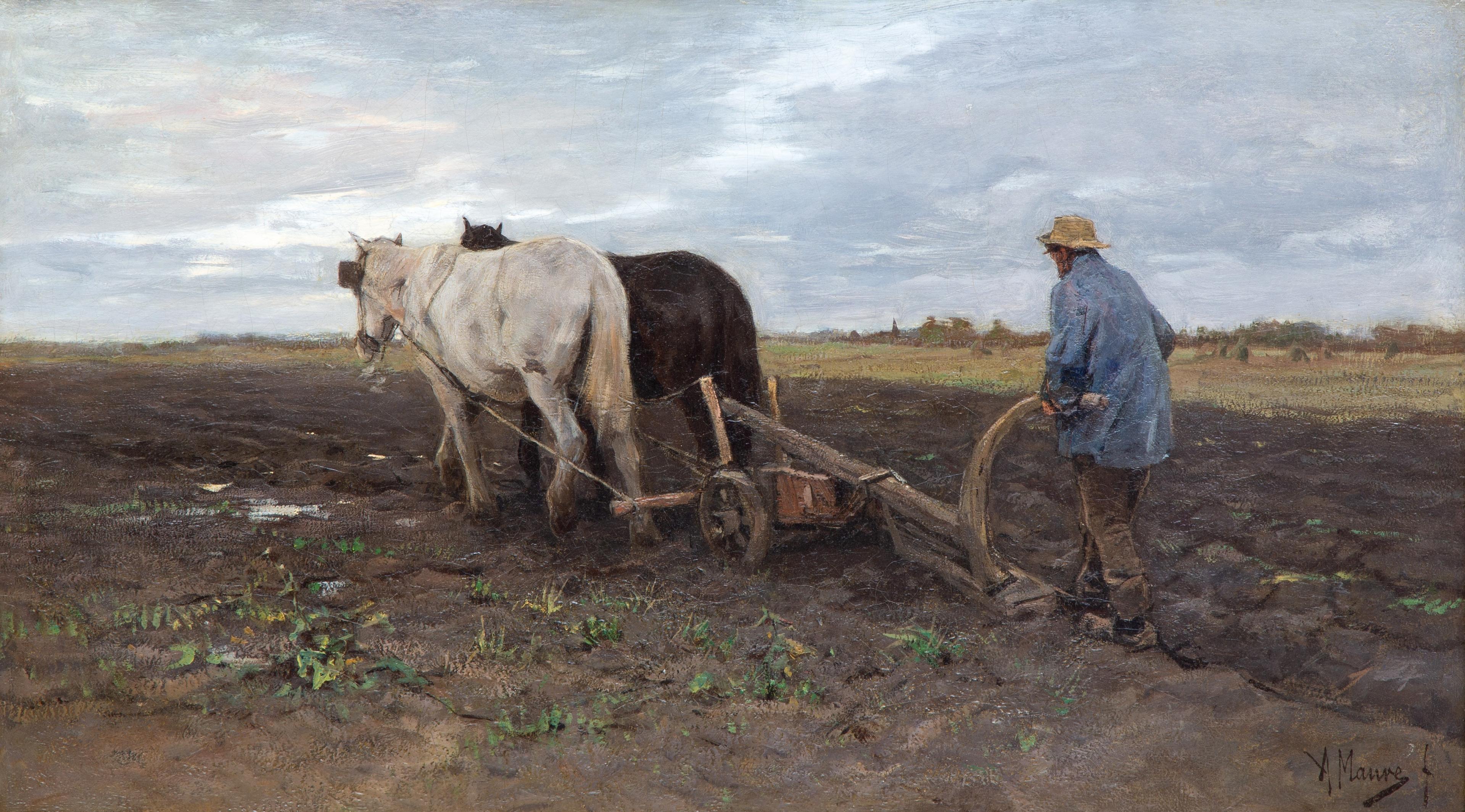 Ploughing horses on the field