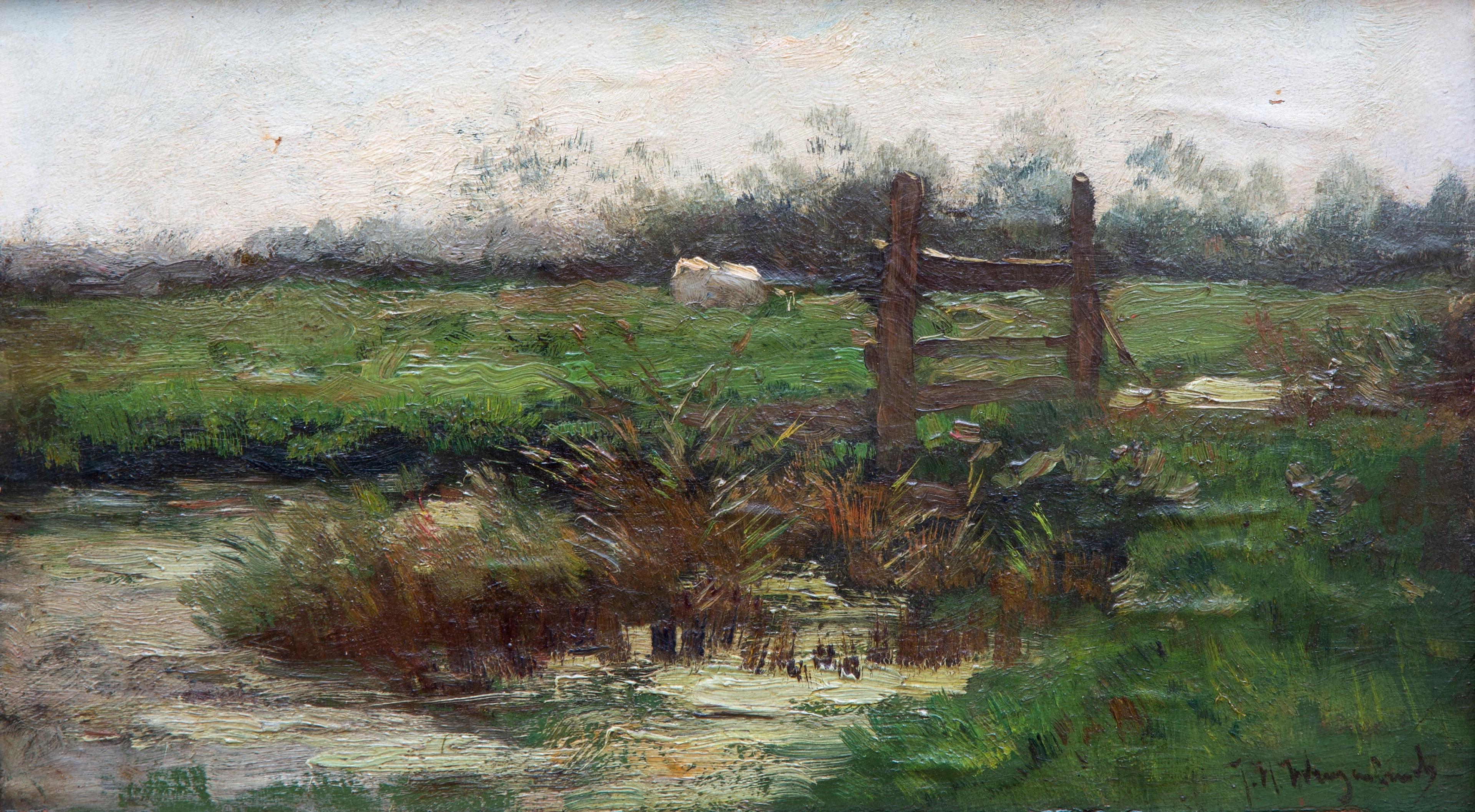 A polder landscape