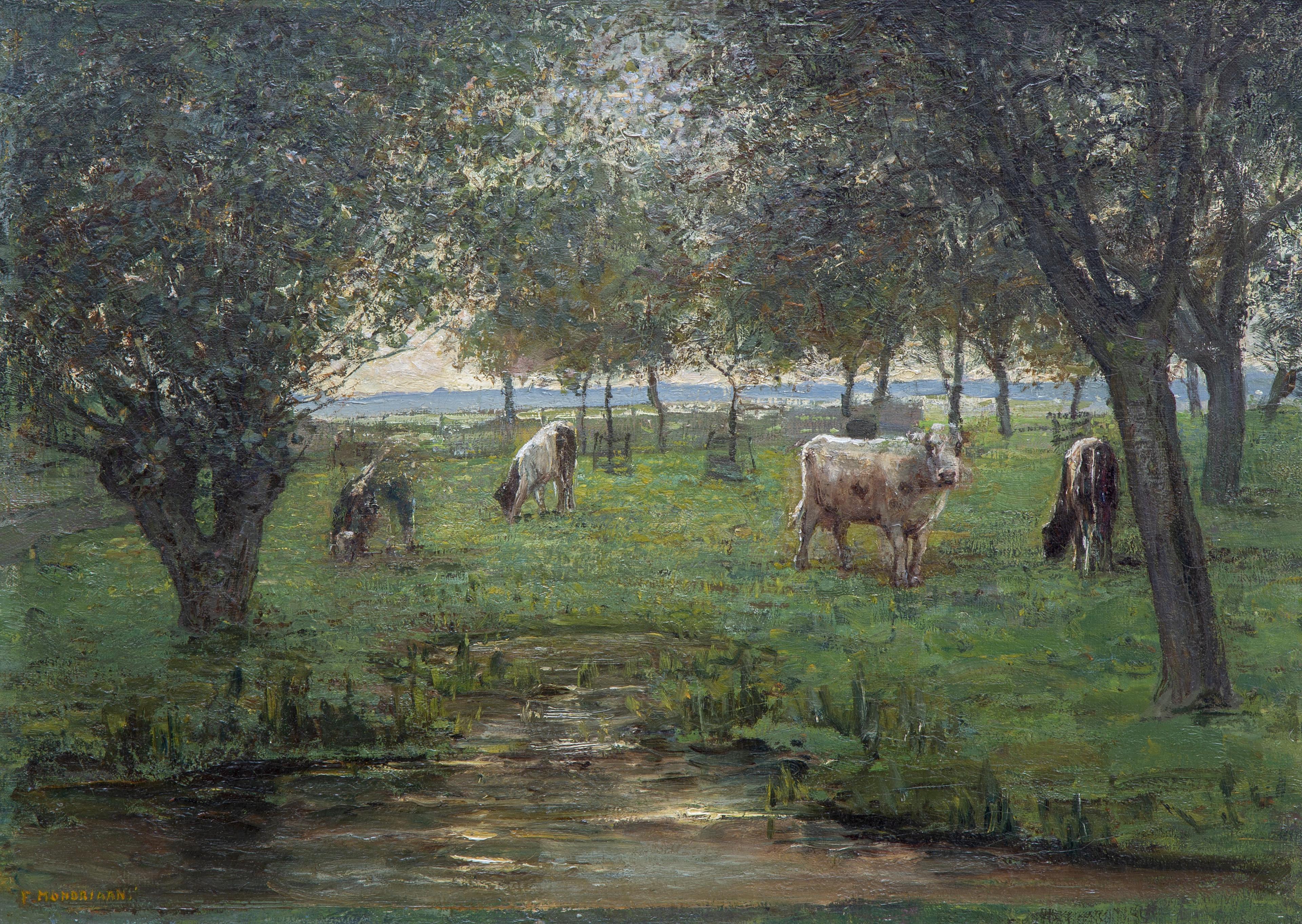 Grazende kalfjes / Grazing cows in a polder landscape Grazende kalfjes / Grazing cows in a polder landscape