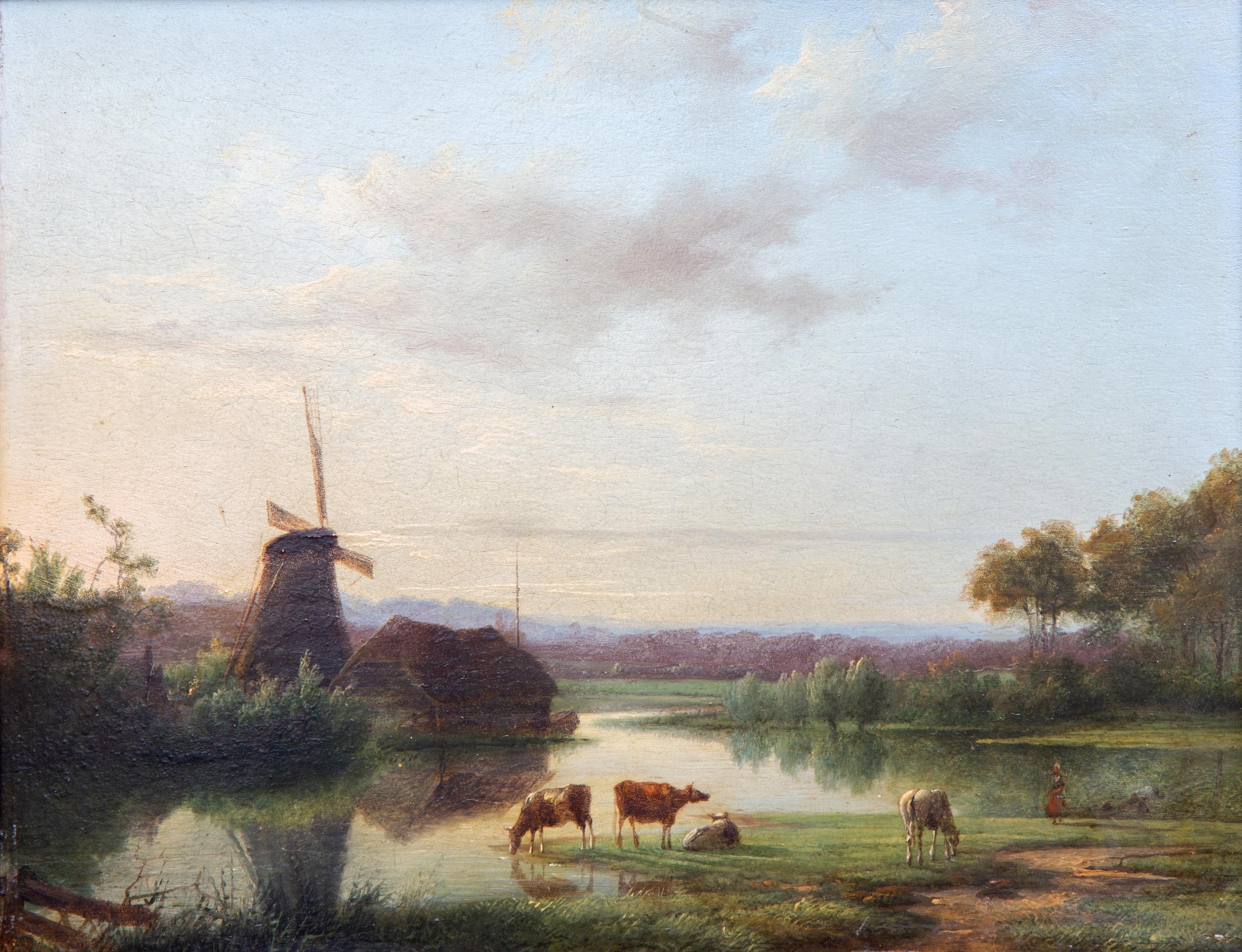 Cattle watering near a windmill
