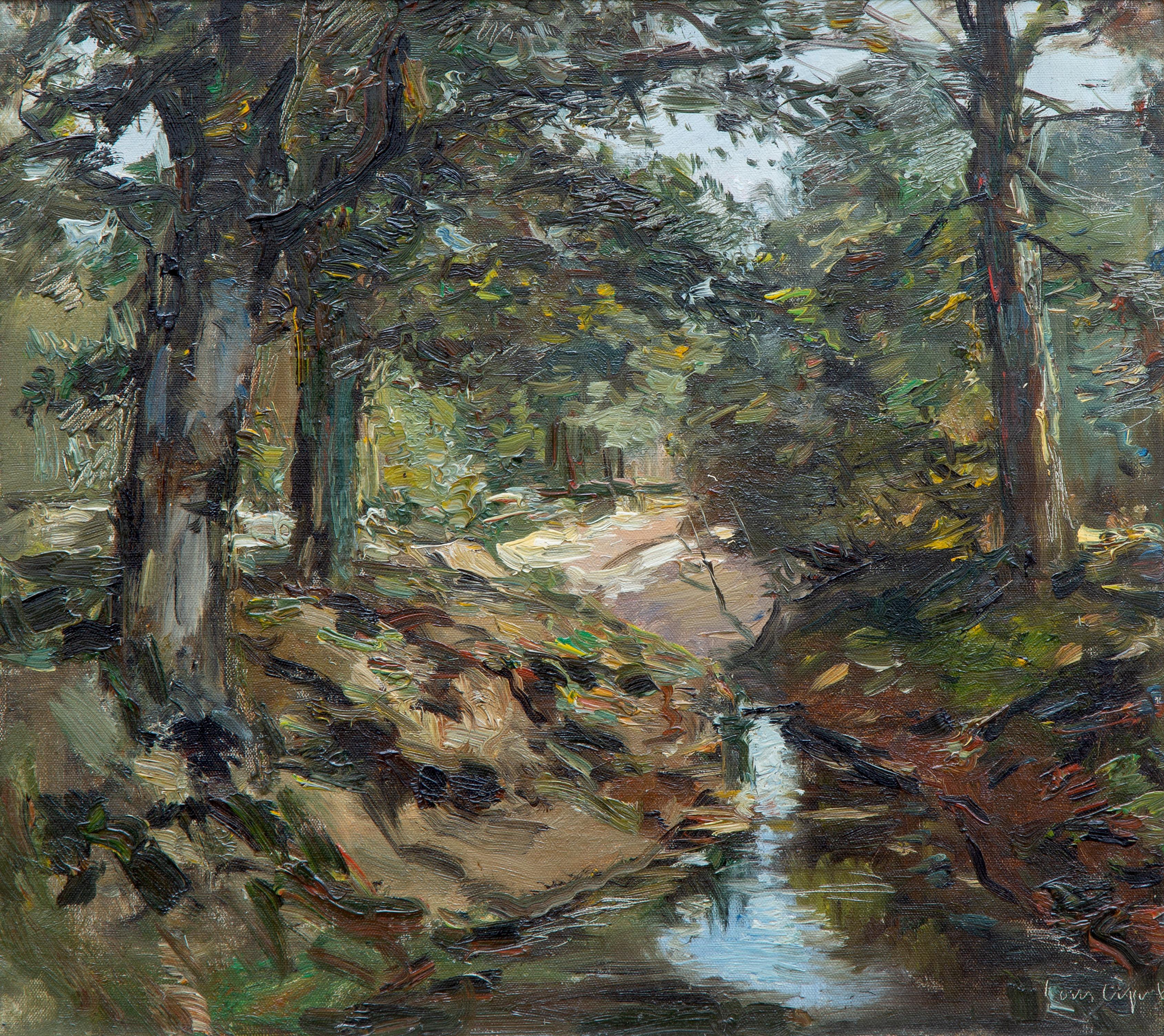A stream in the forest A stream in the forest