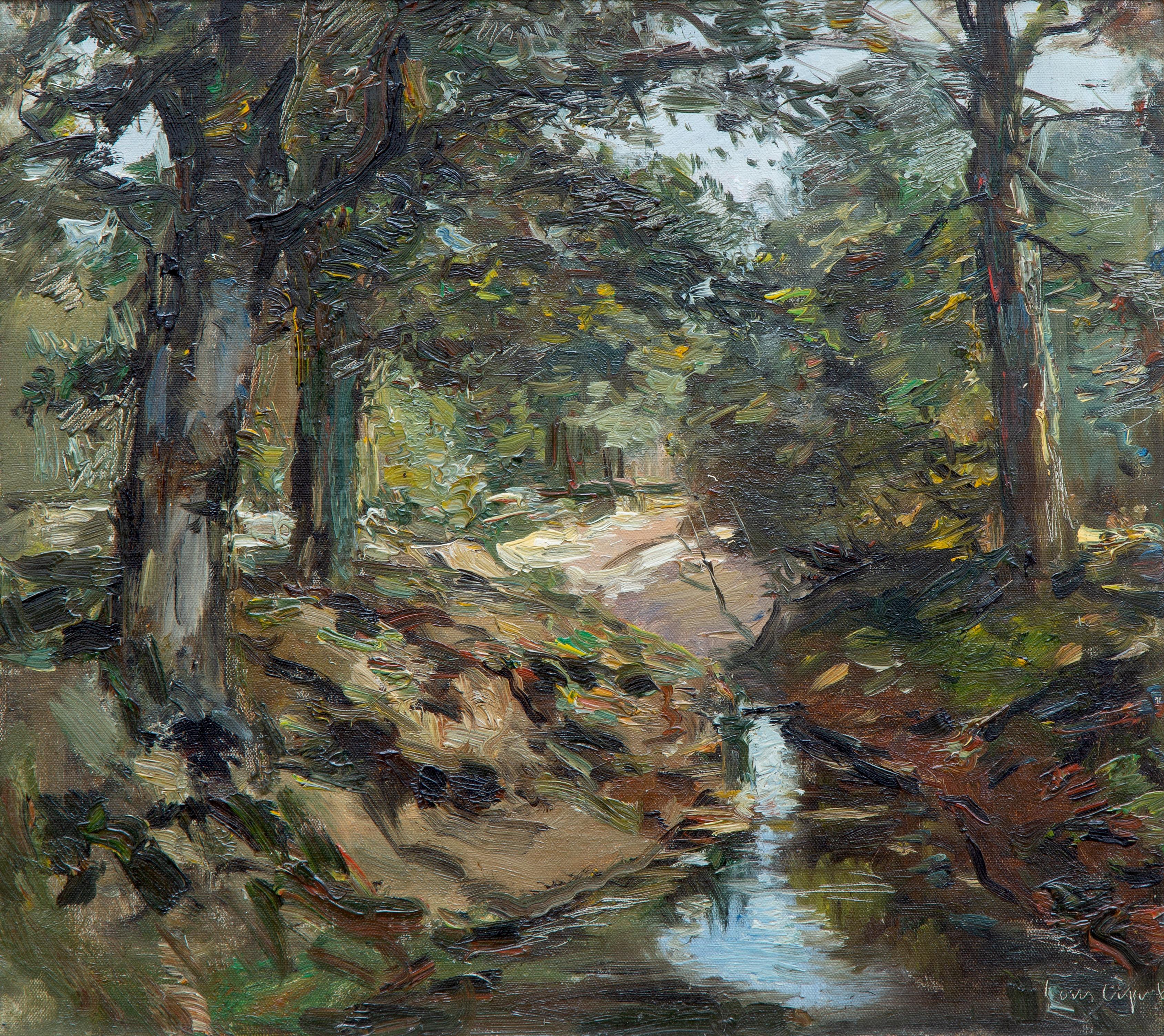 A stream in the forest