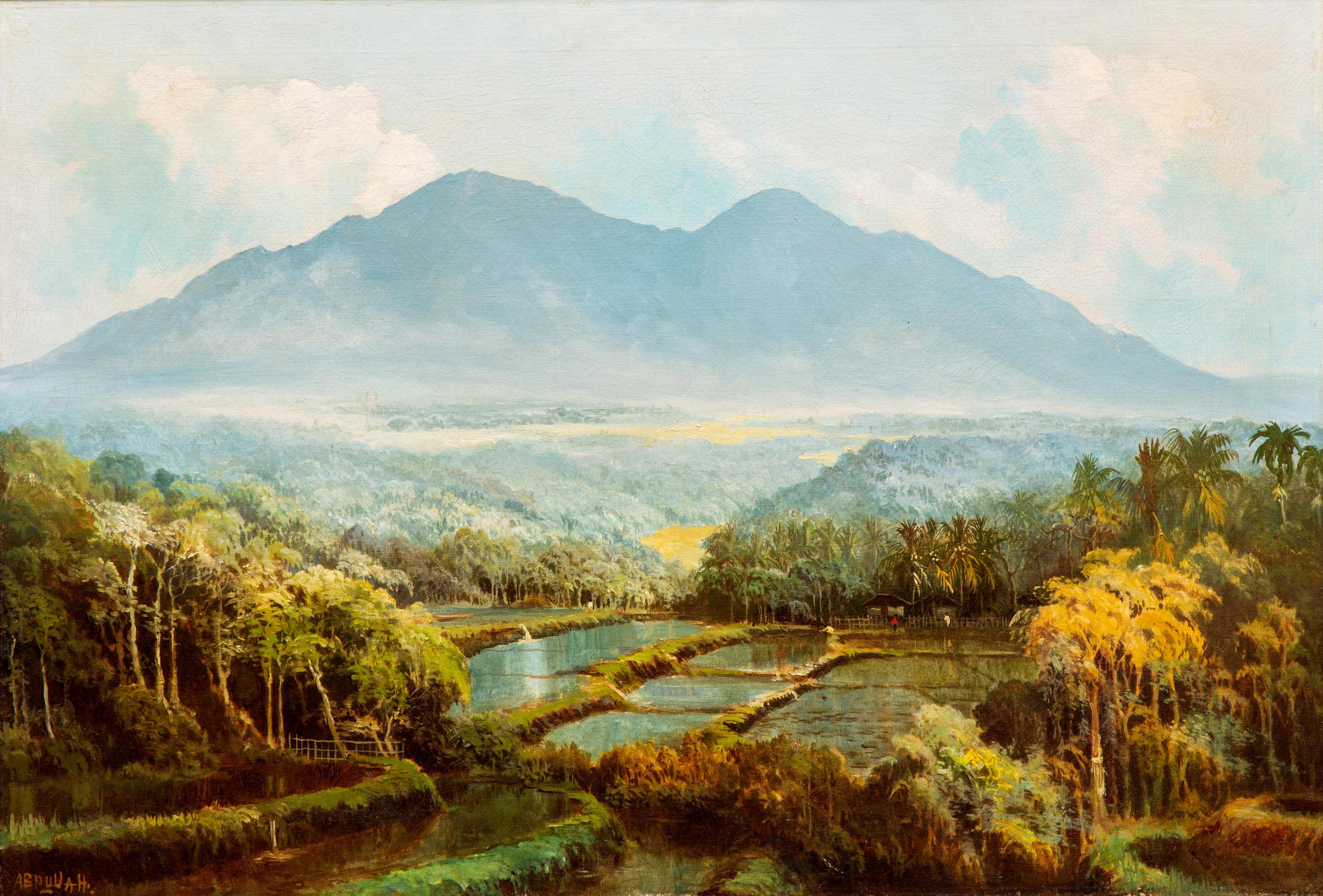 An Indonesian landscape with sawahs and volcano