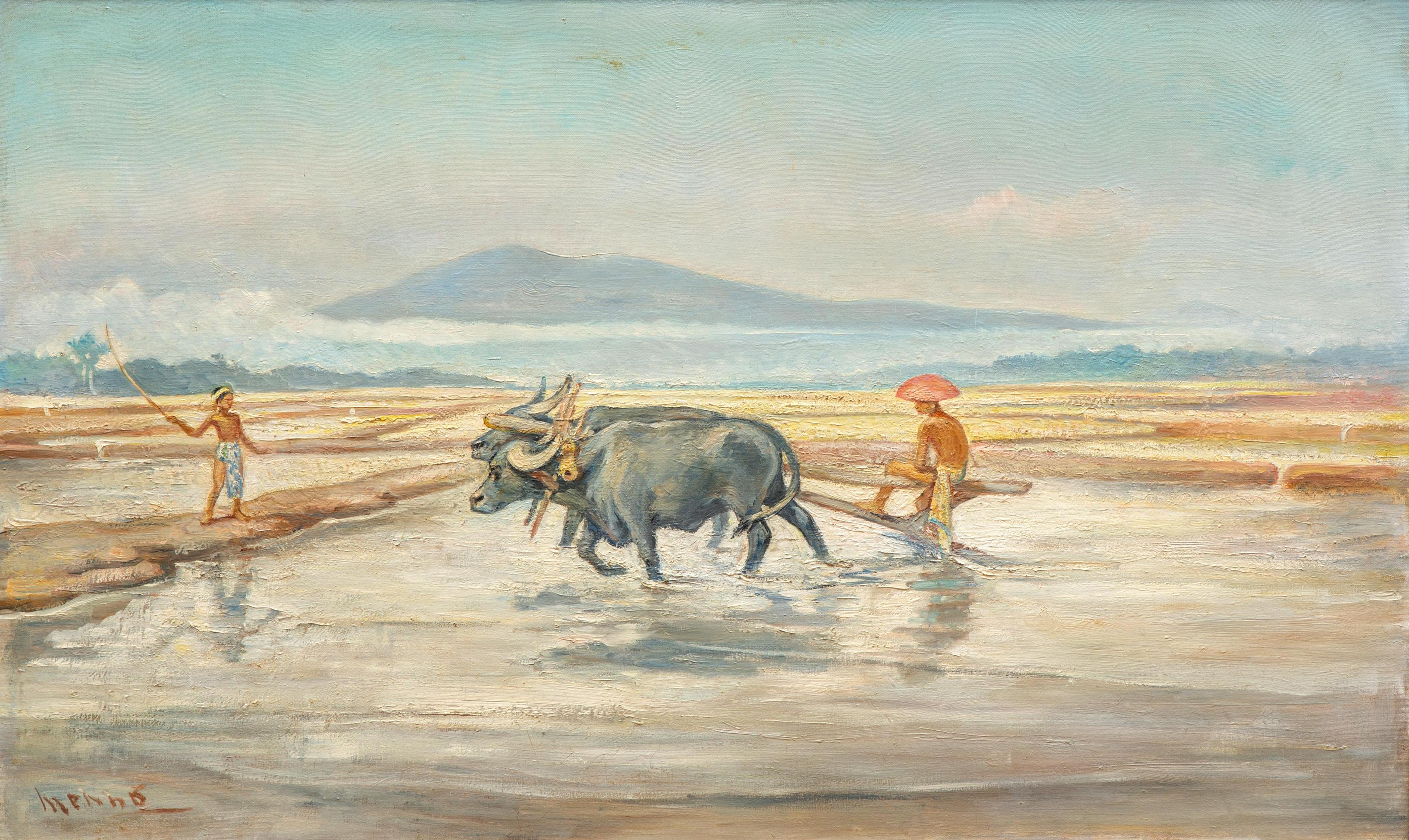 Ploughing buffaloes