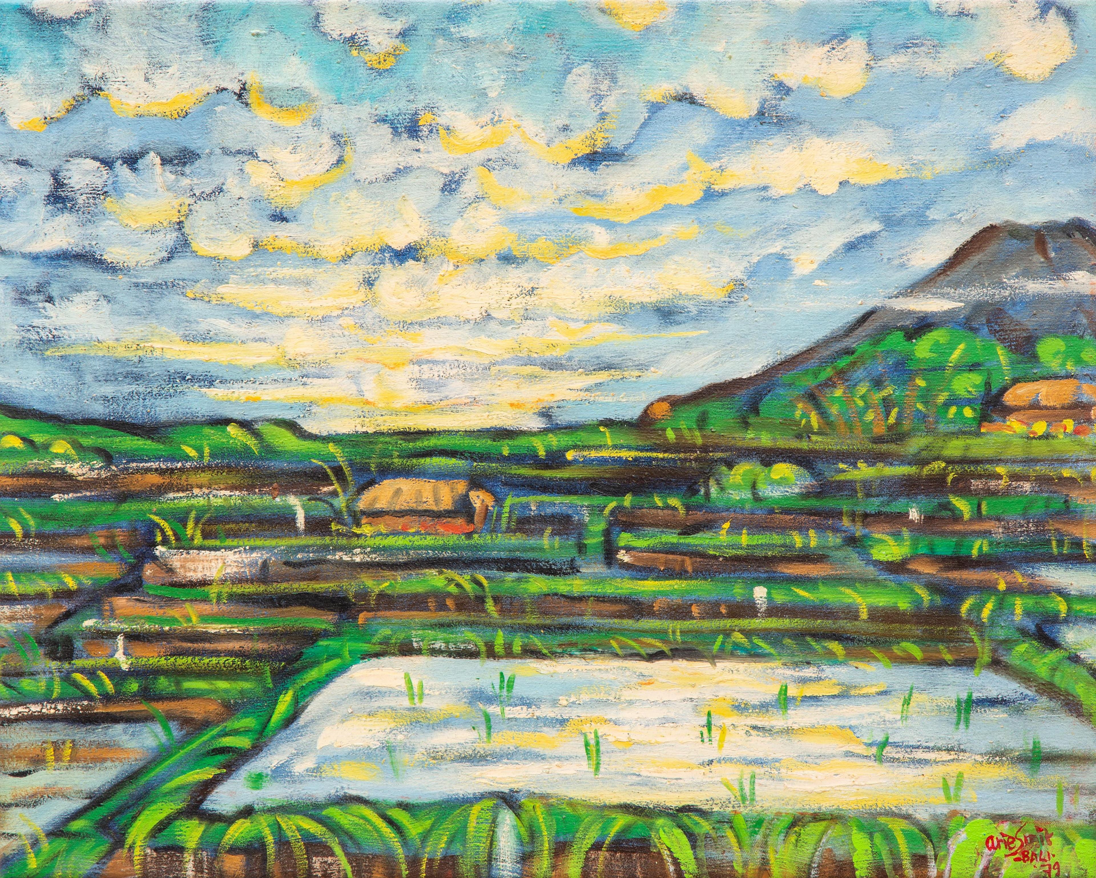 Rice fields on Bali with the Gunung Agung