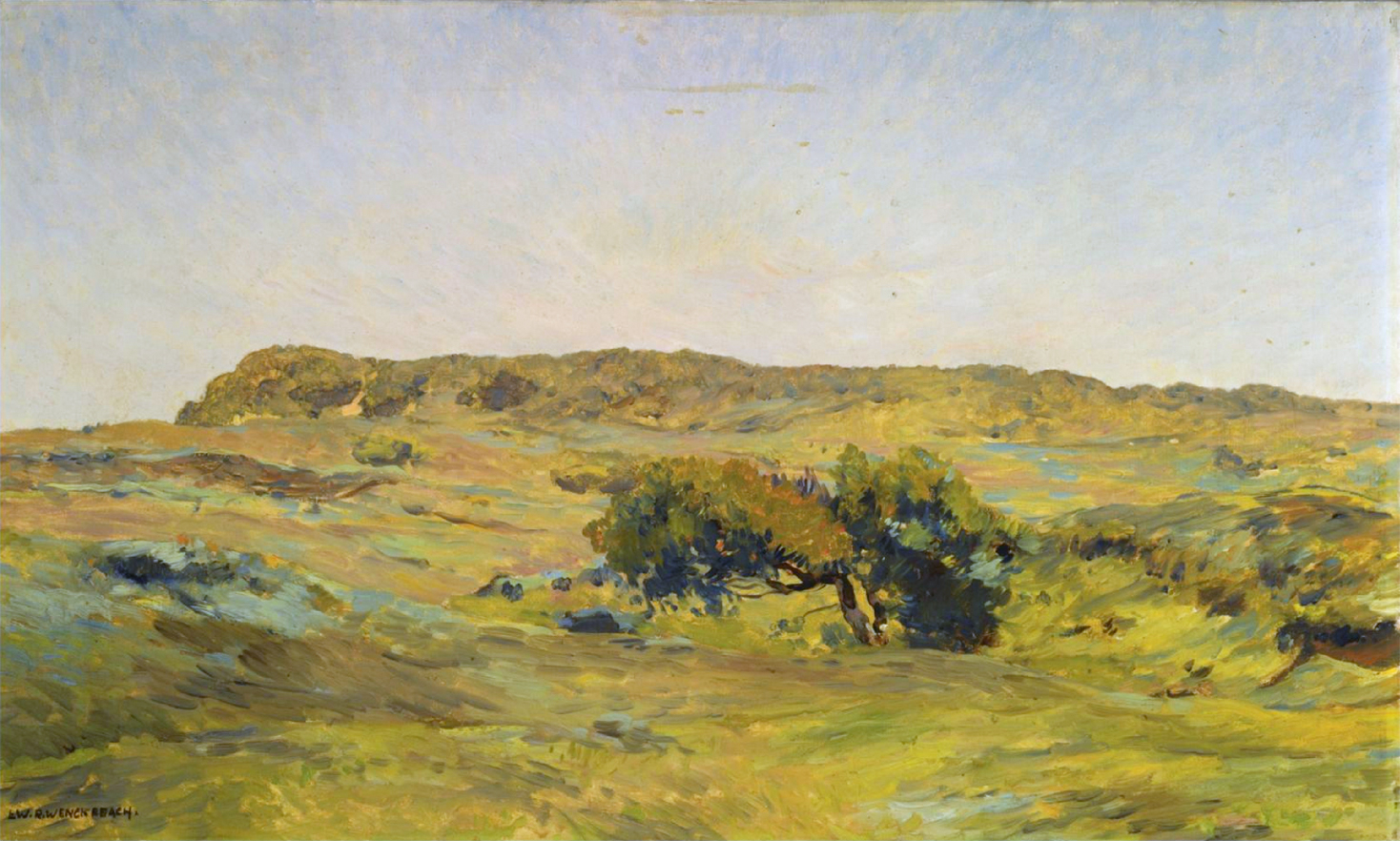 Wenckebach, Willem (Ludwig)
