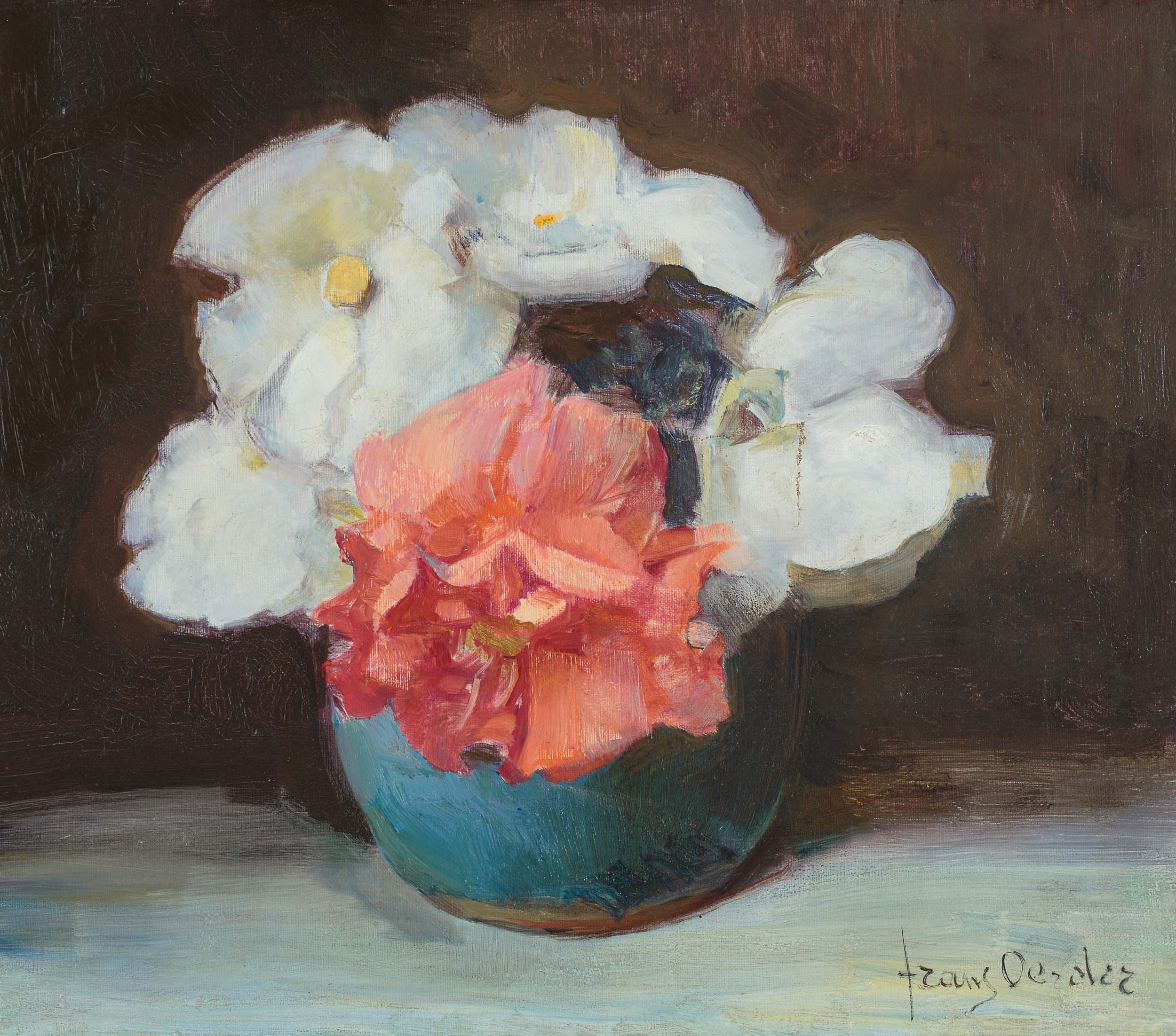 Begonias