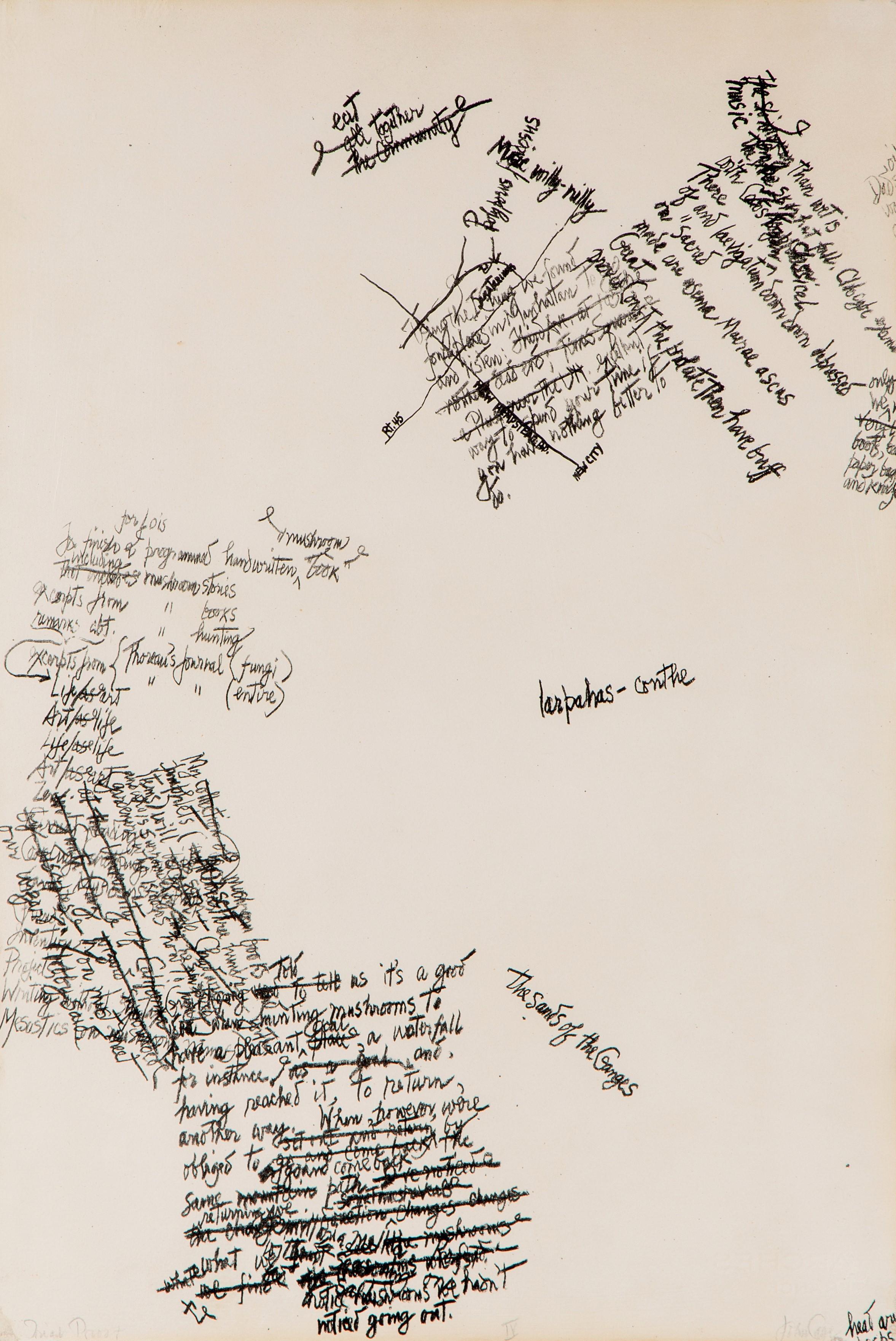 Plate IV from ‘The Mushroom Book’