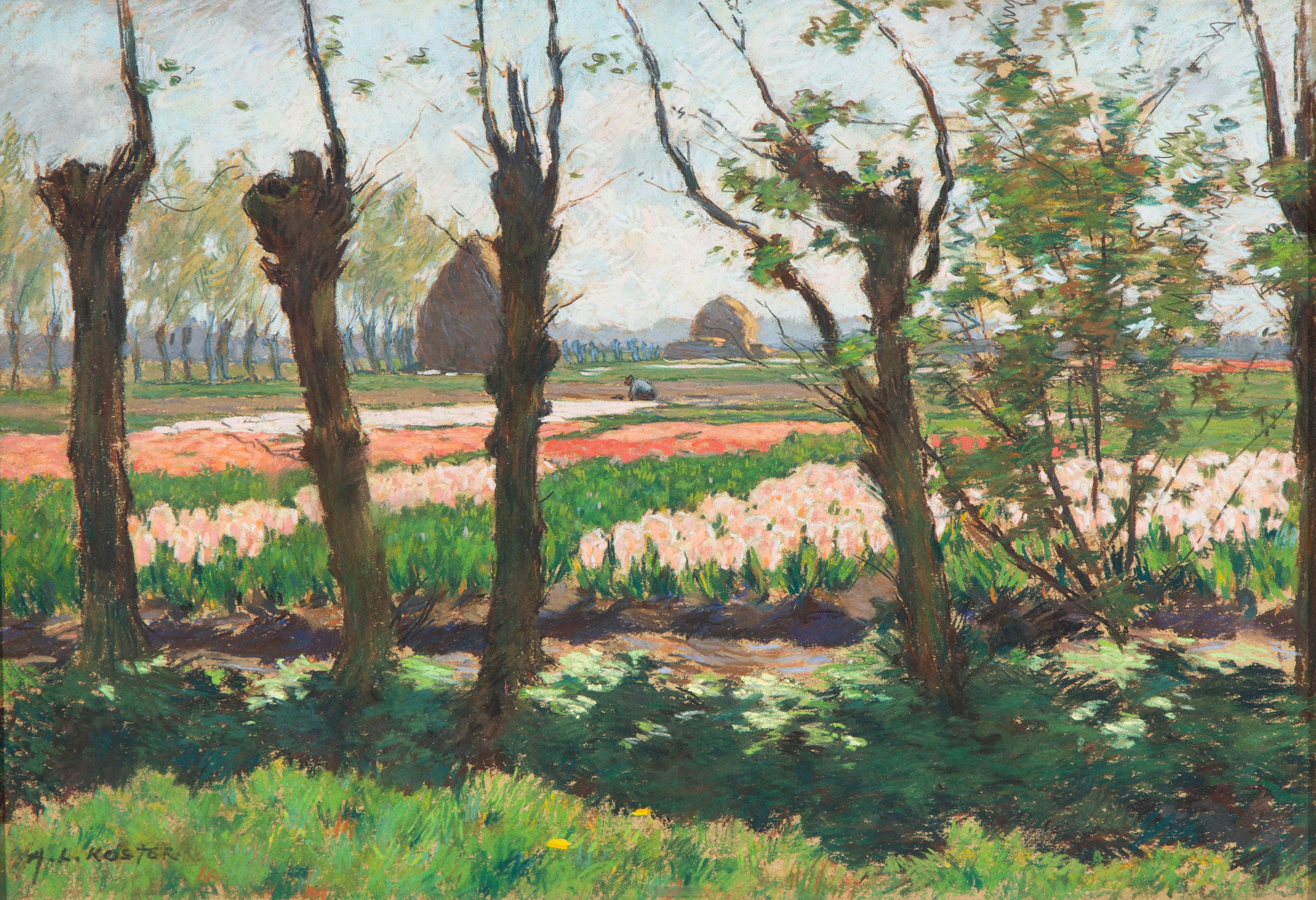 'Kweekerij met rose en roode hyacinthen' / Bulb fields with pink and red hyacinths