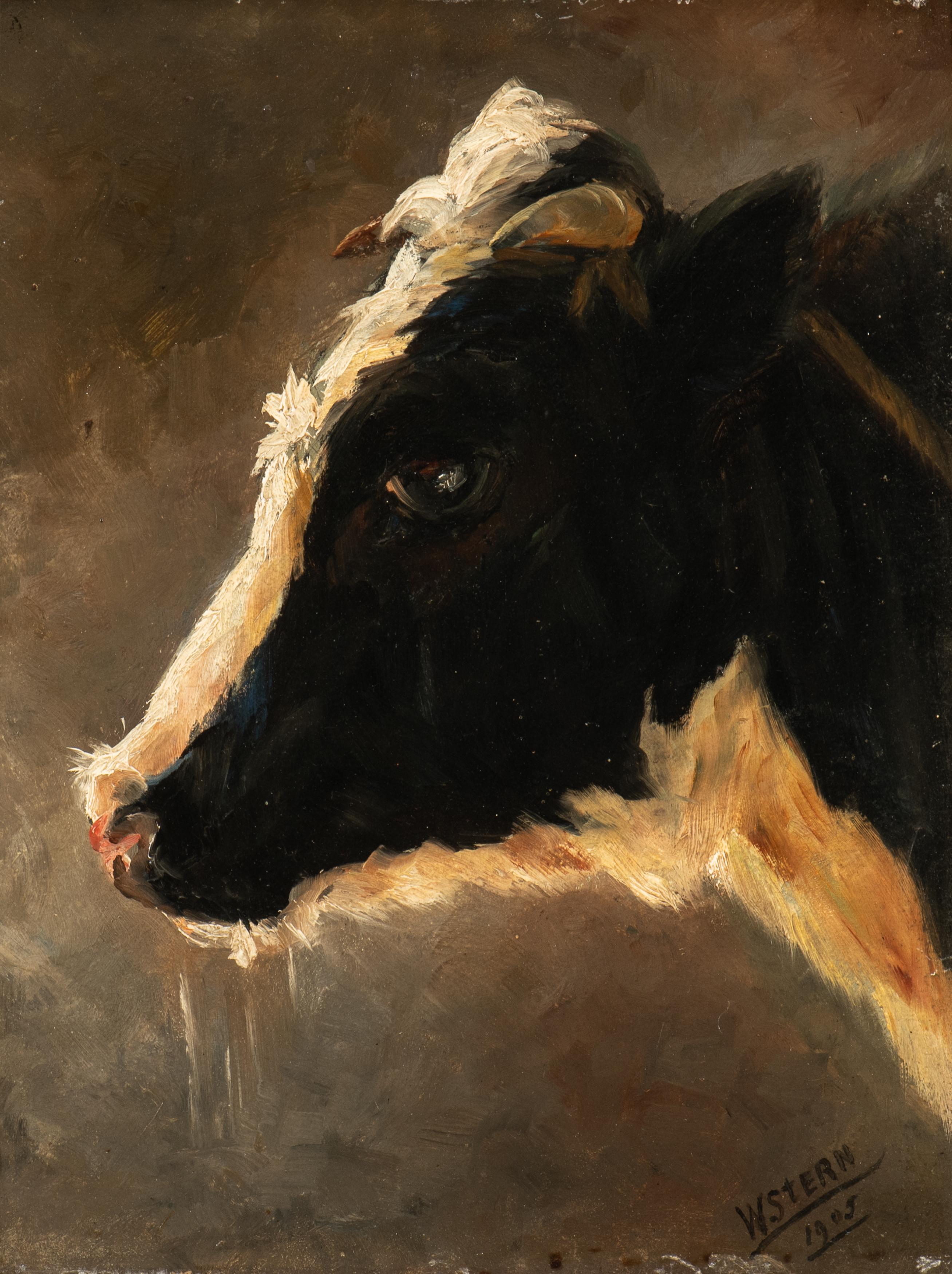 Stern, Willem Johan Cornelis Jacobus Lodewijk Metzemakers