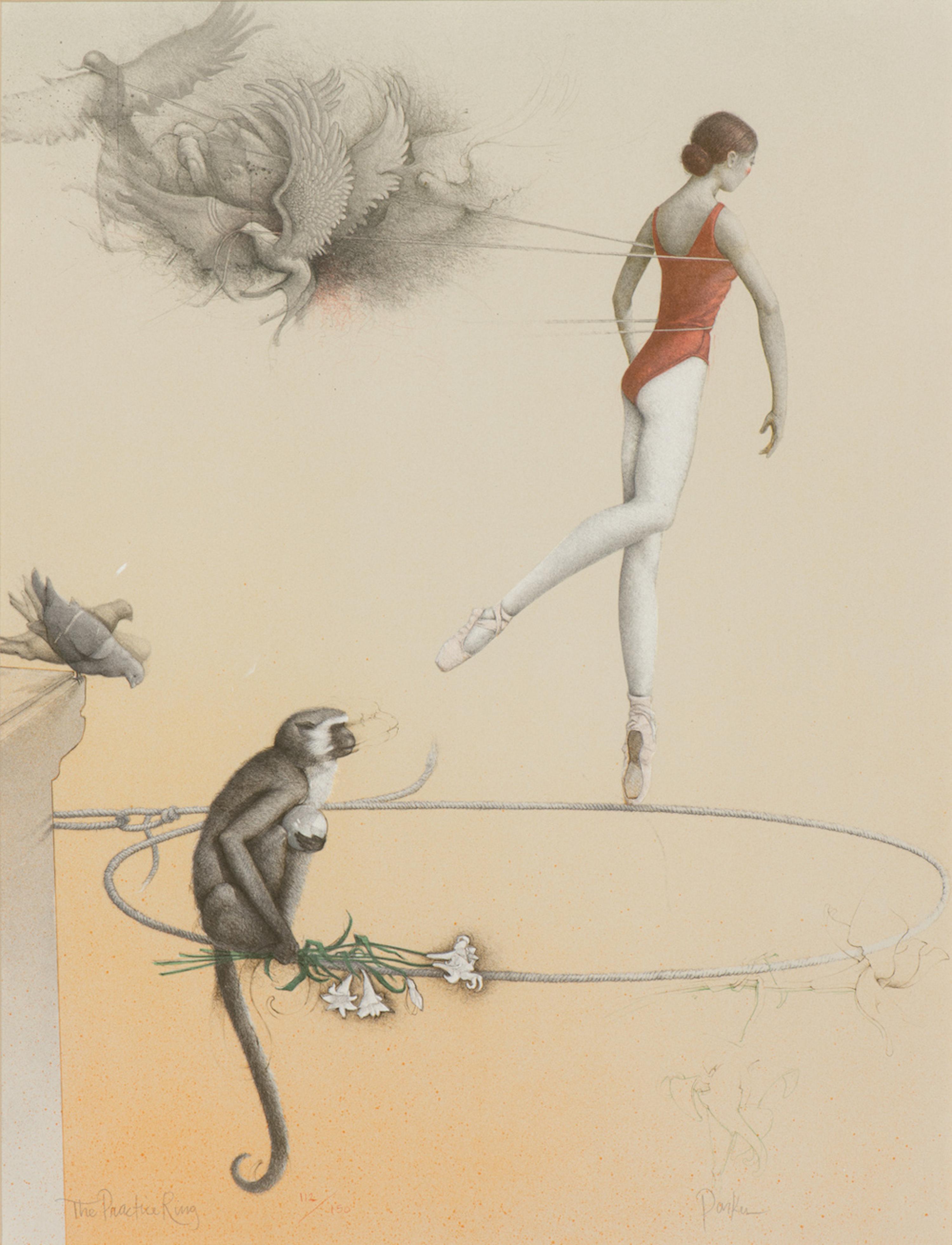 The Practice Ring (1982)