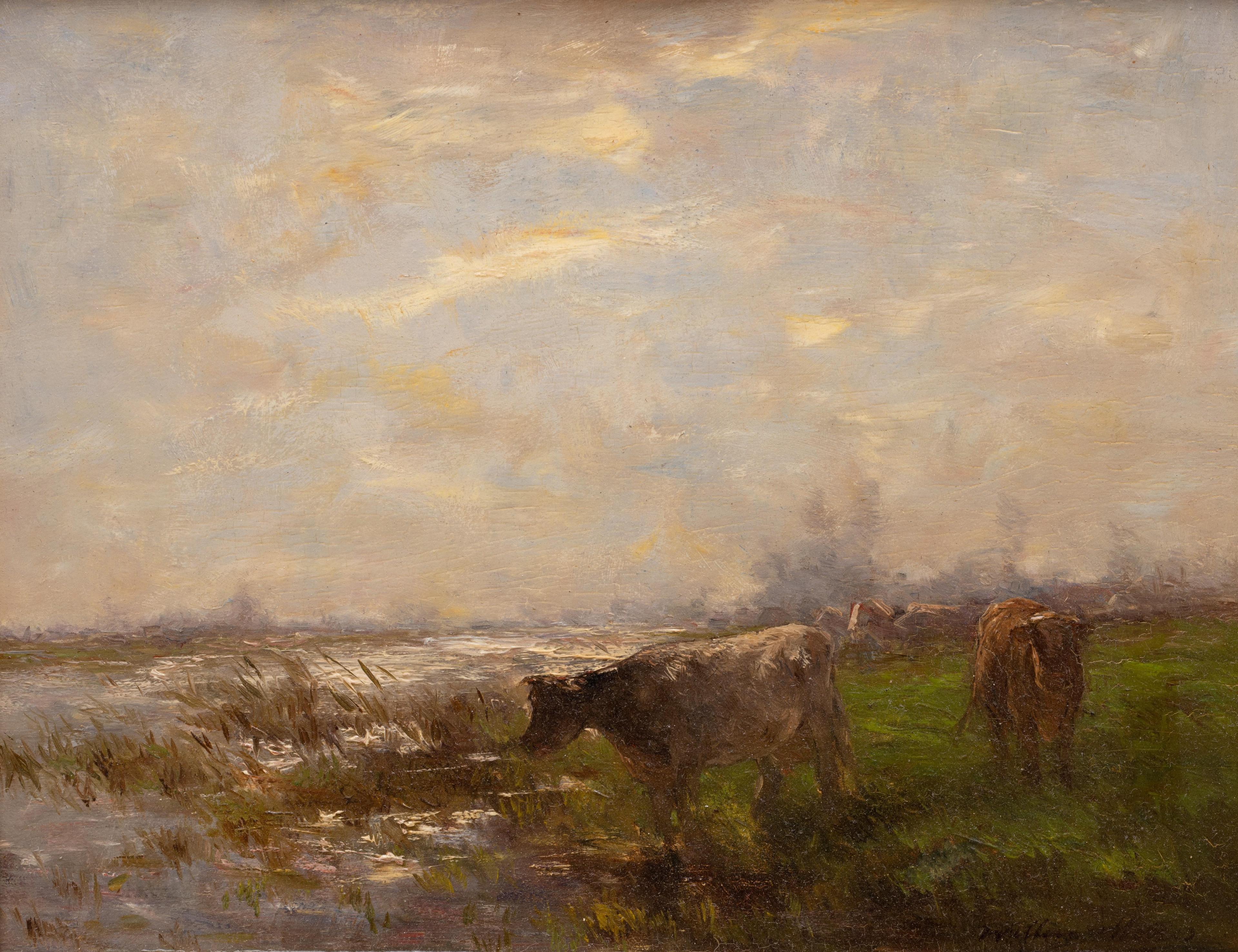 Cows on the riverbank