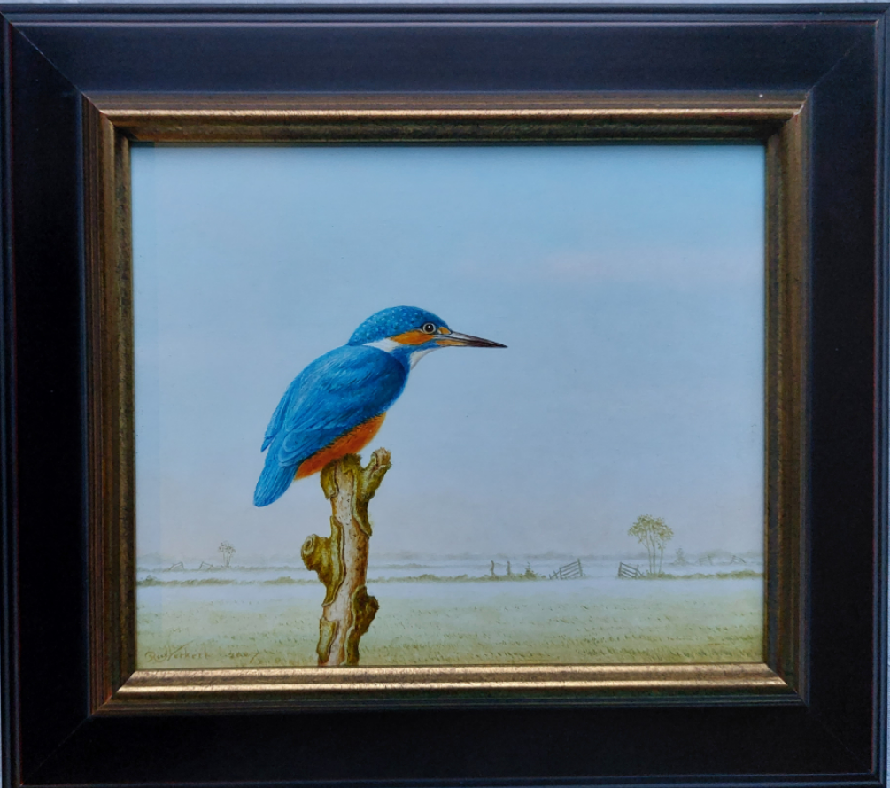 Ijsvogel