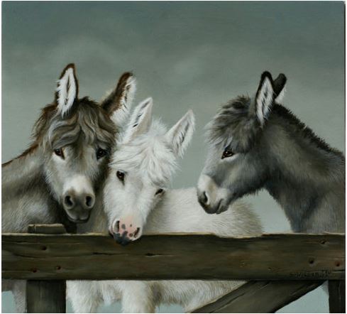 Aaibaar trio Aaibaar trio