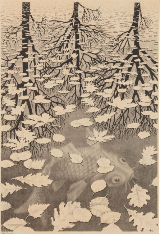 Drie Werelden (Three Worlds (1955)