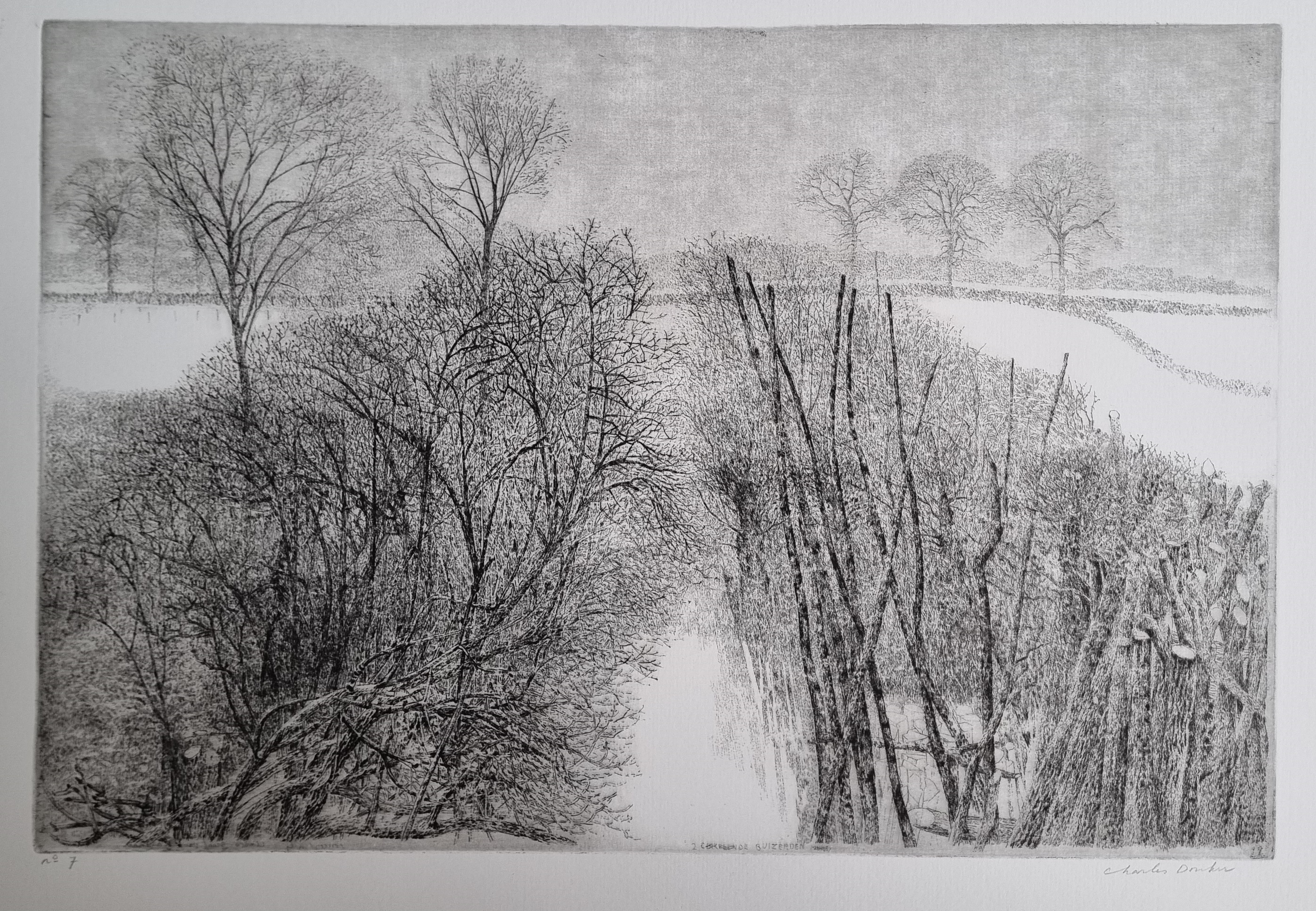 Struiken en stammen in sneeuwlandschap (ca. 1982-83) Struiken en stammen in sneeuwlandschap (ca. 1982-83)
