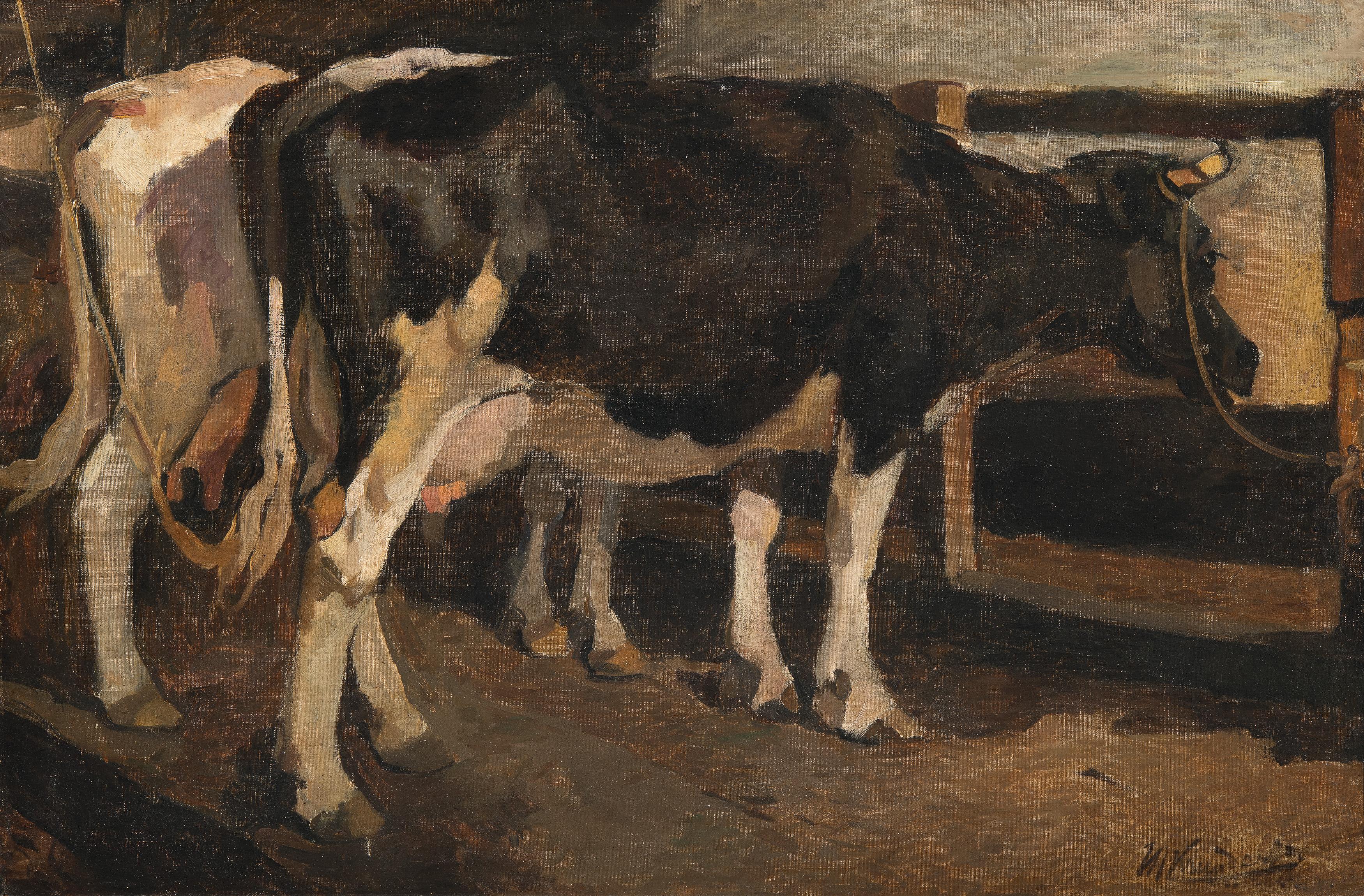 Koestal / Cow stable