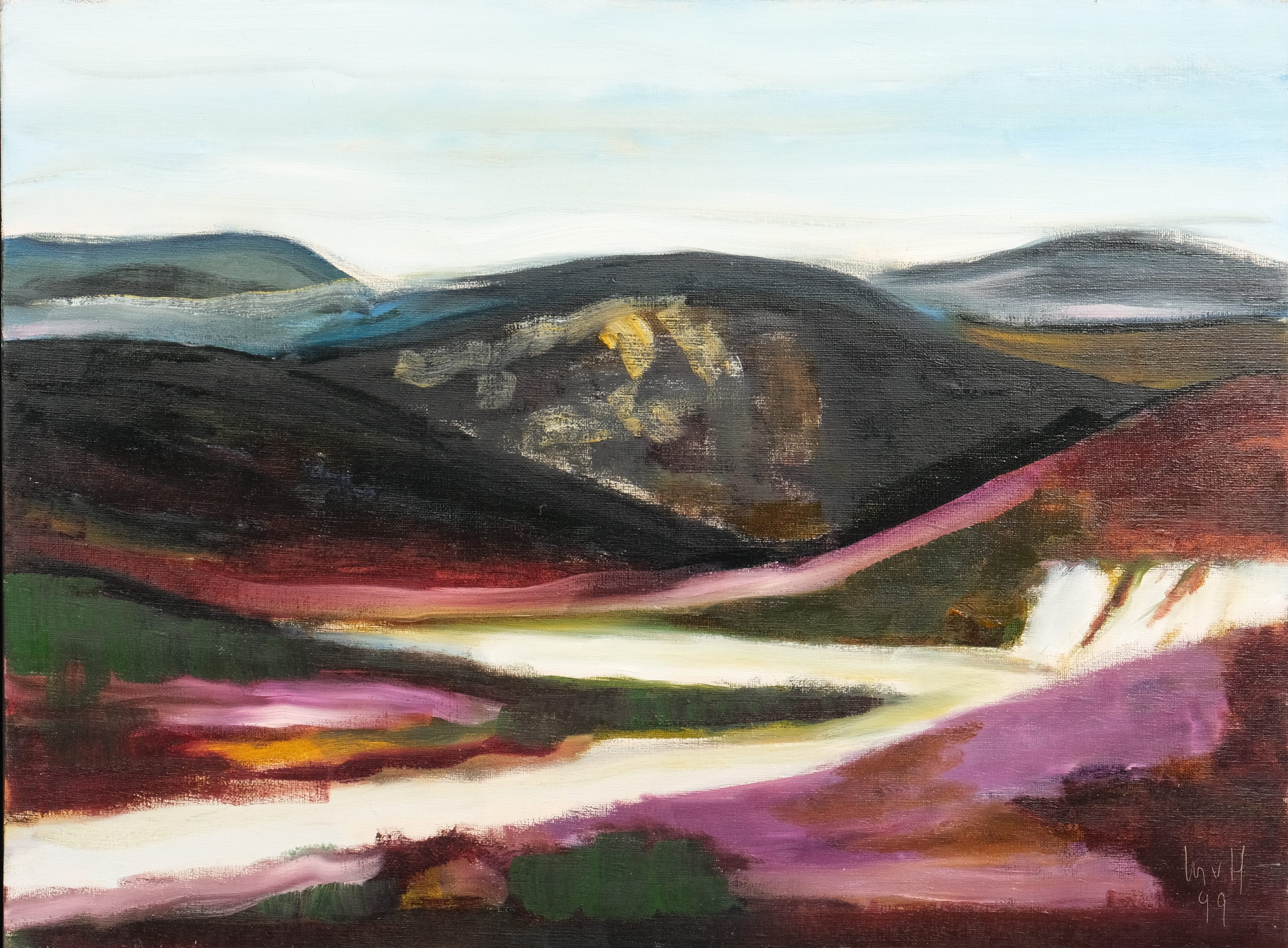 Heide op Betty Hill (Sutherland/Schotland) (1999)