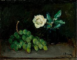 Bauer-stumpff, Jo