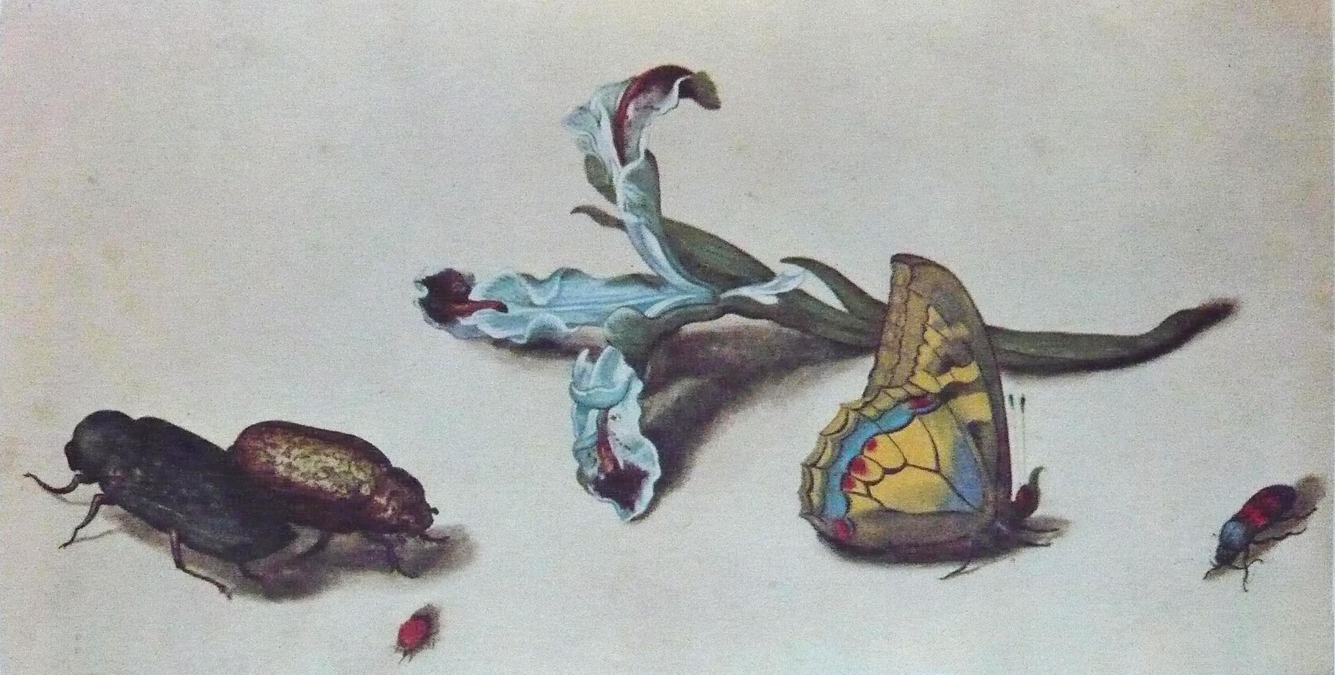 Heer, Margareta De