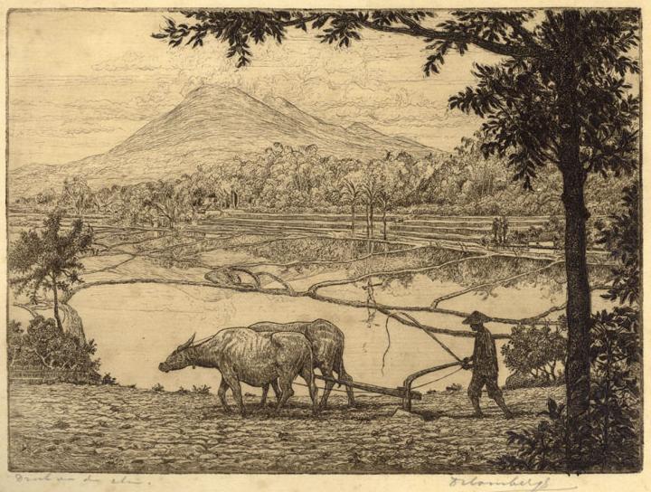 Homberg, Dirk