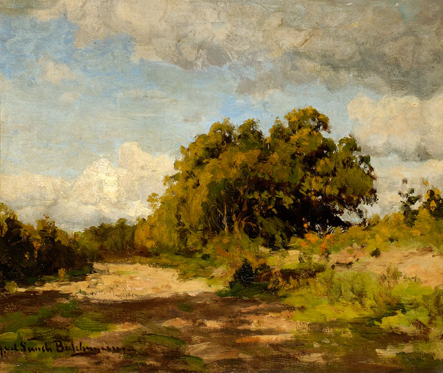 Bomen In Een Duinlandschap