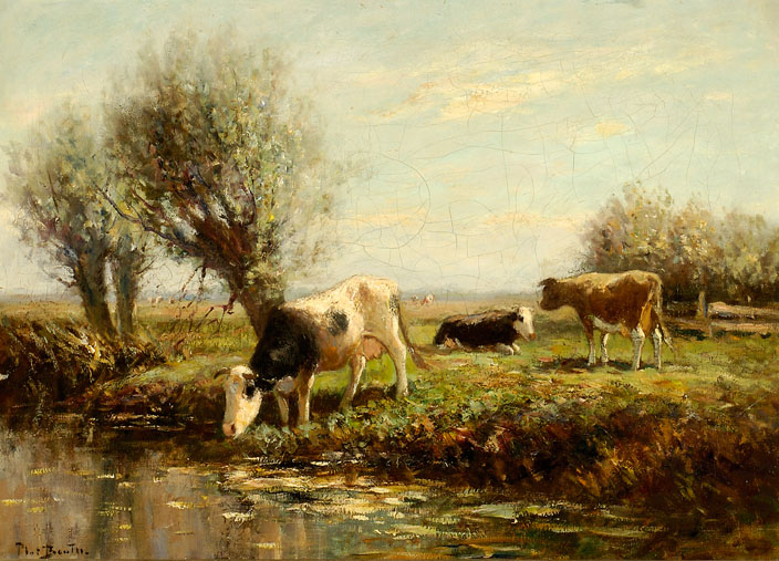 Koeien Aan Het Water In Een Polderlandschap