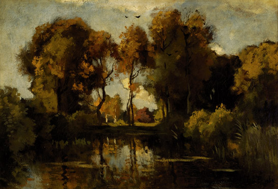Boslandschap