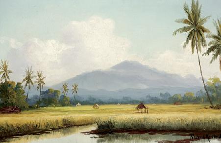 Indonesisch Landschap Indonesisch Landschap