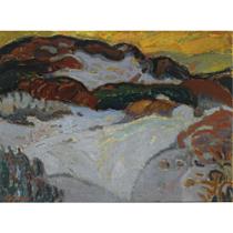 Duinen