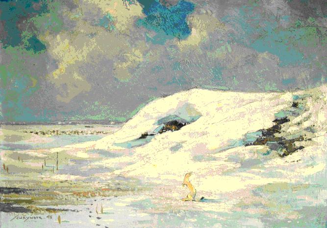Hermelijn In De Sneeuw