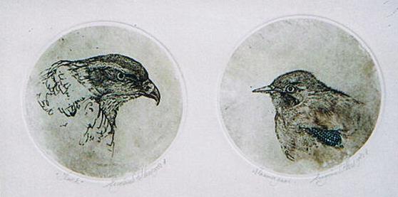 Twee Vogelkoppen