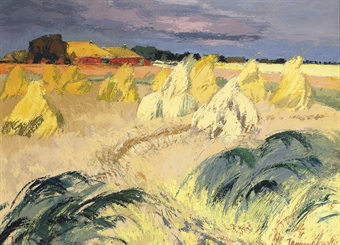 Oost-Groninger land