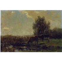 COWS AT PASTURE