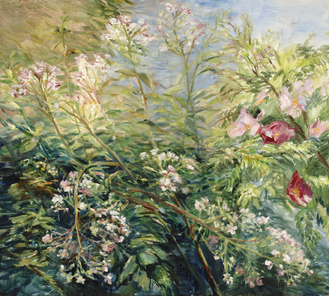 Bloemen