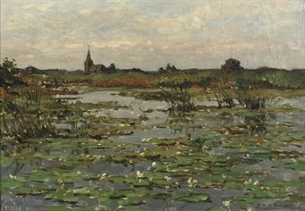 Kortenhoefsche Plassen: water-lilies near Kortenhoef Kortenhoefsche Plassen: water-lilies near Kortenhoef