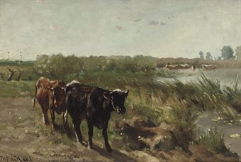 Cows near a river 
